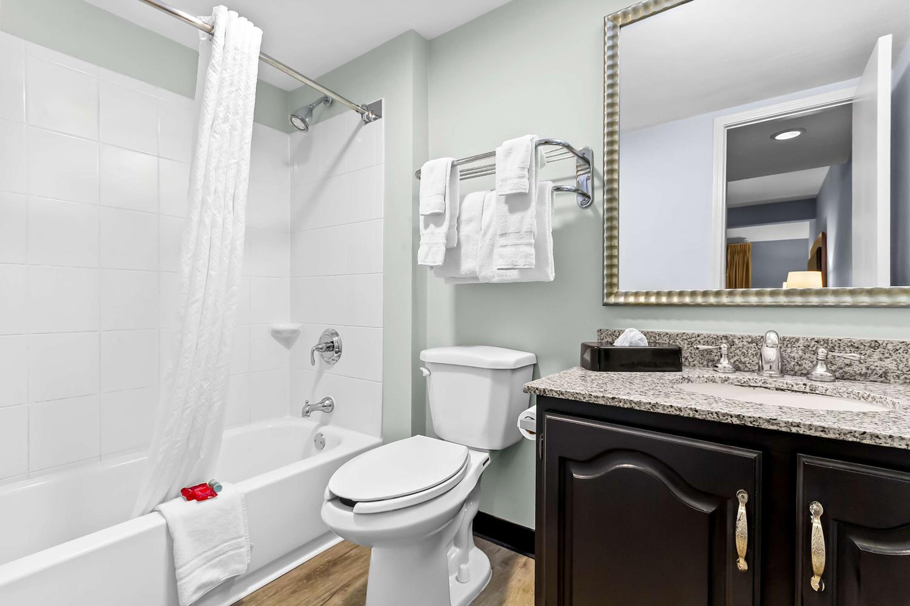King Suite with Separate Bedroom - Photo 4