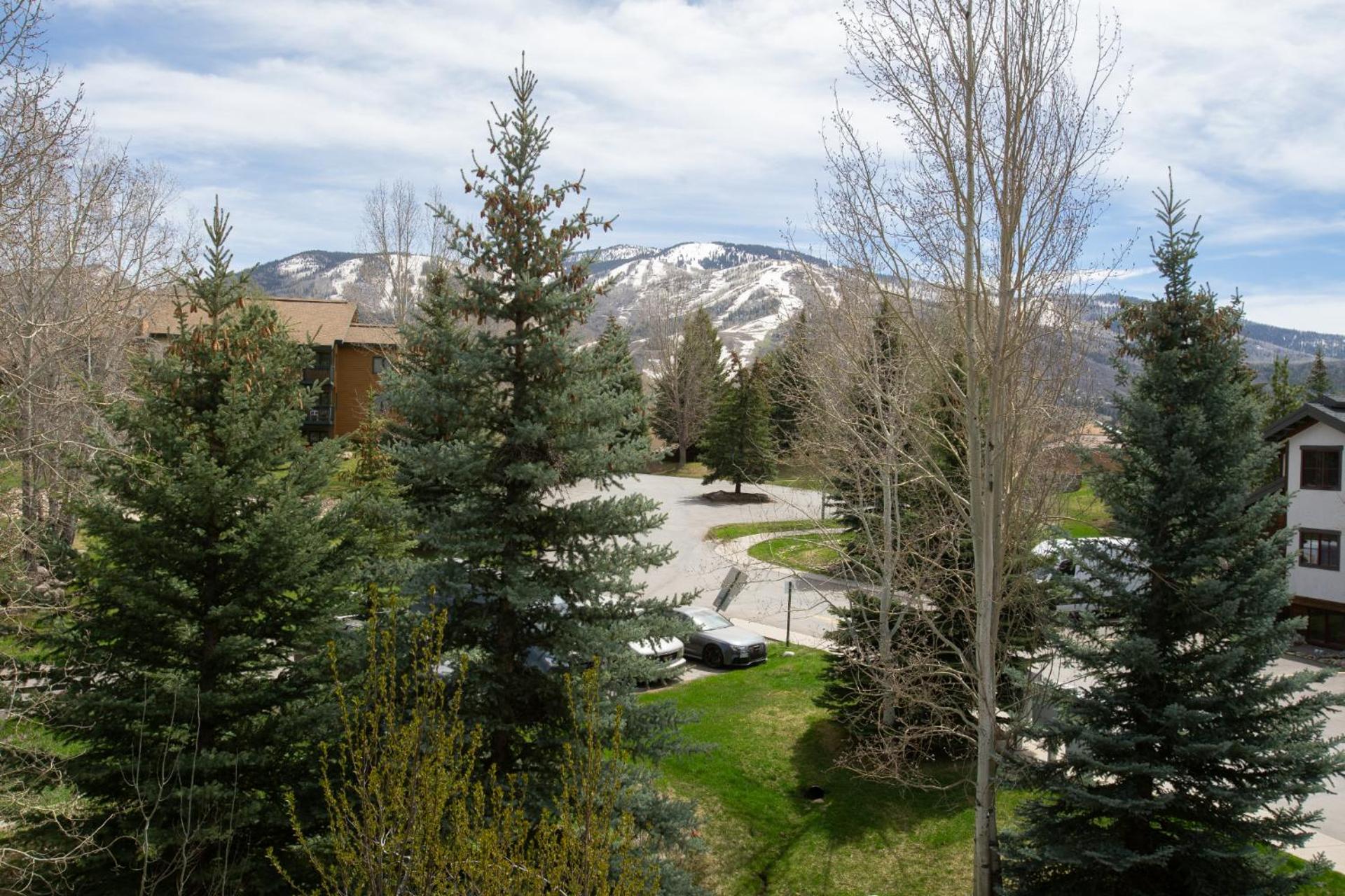 Vacation Home photo 3