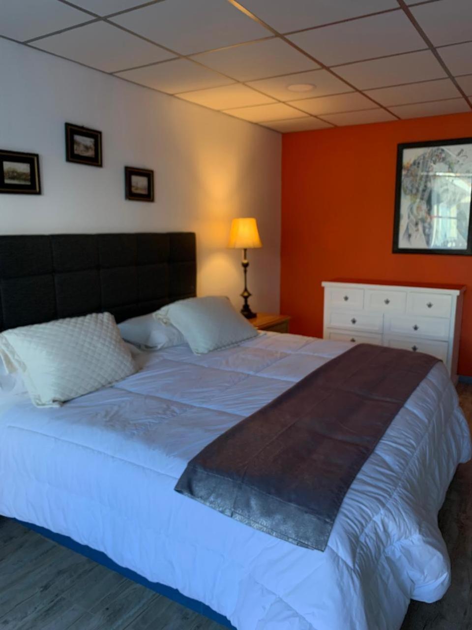 King Room photo 1