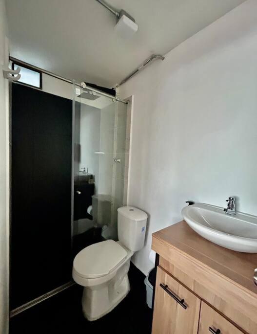 One-Bedroom Apartment photo 2
