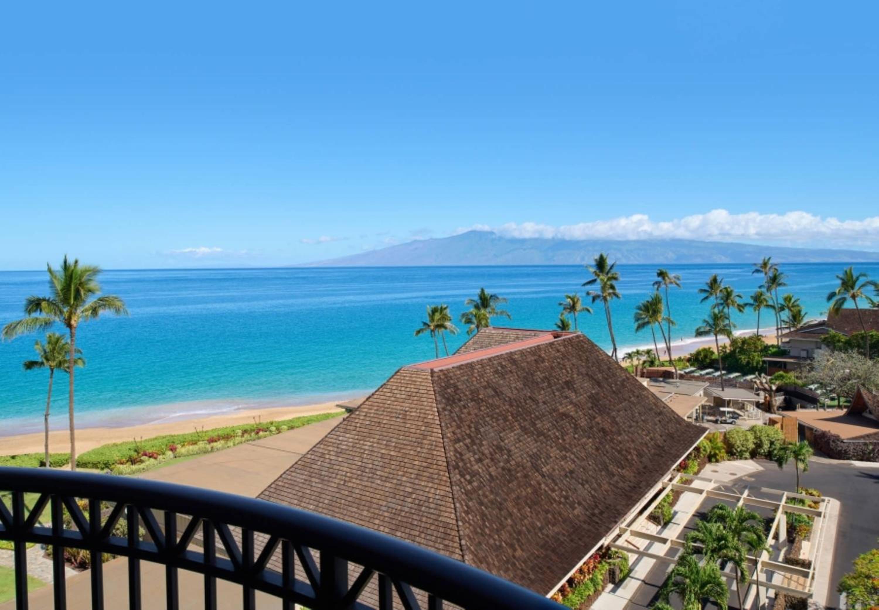 Ocean View King thumbnail 6