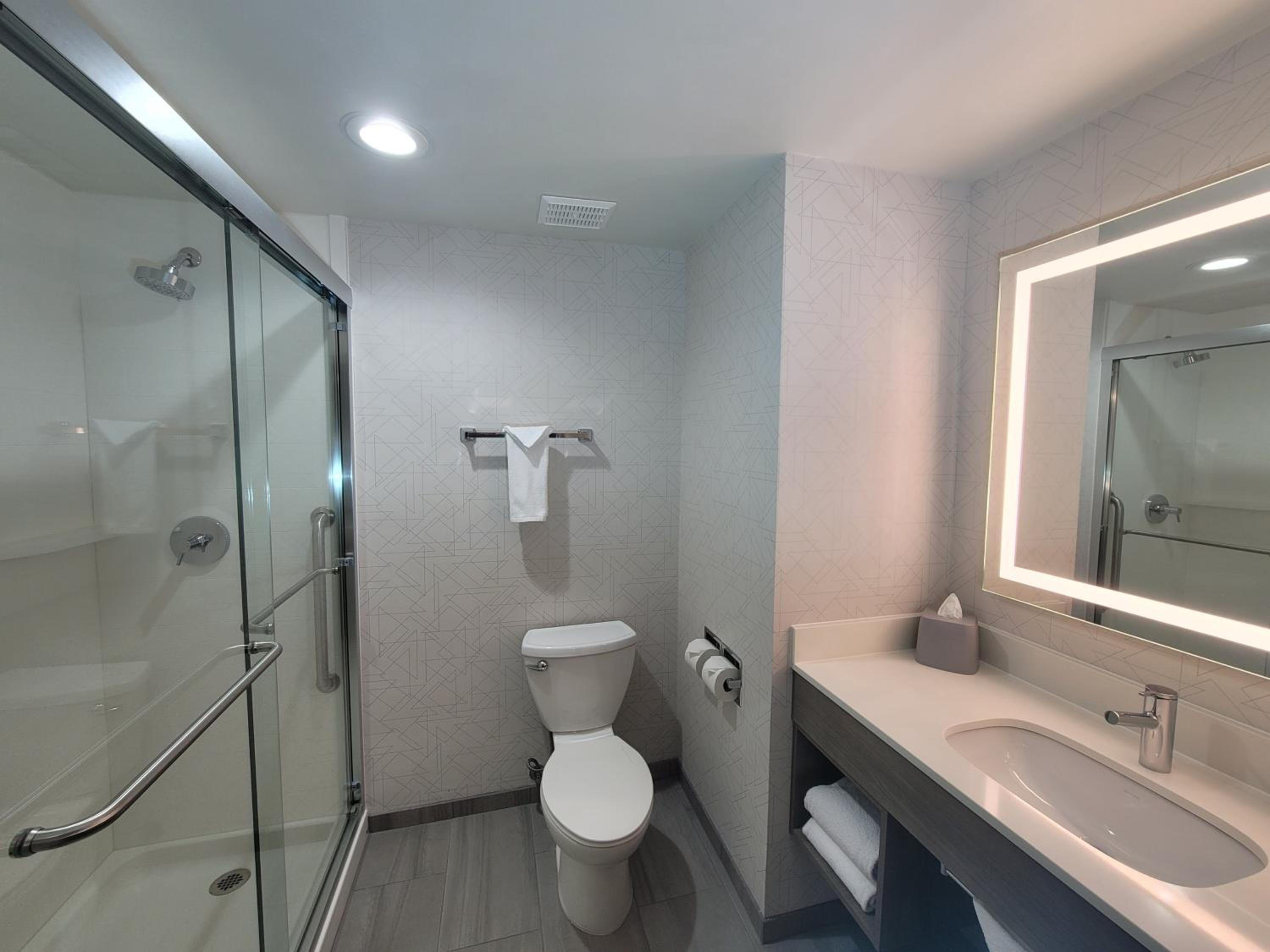 King Suite with Sofa Bed - Photo 4