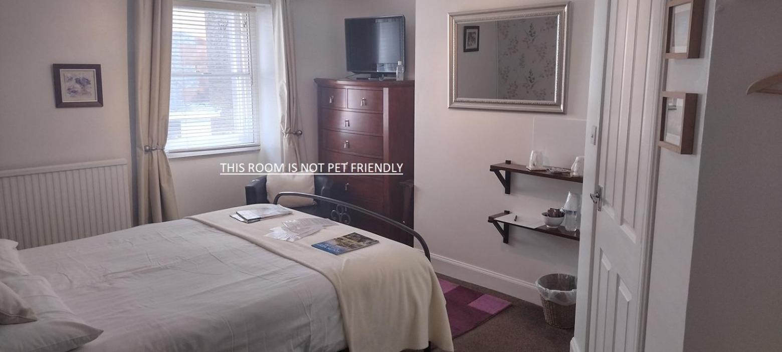 Standard King Room