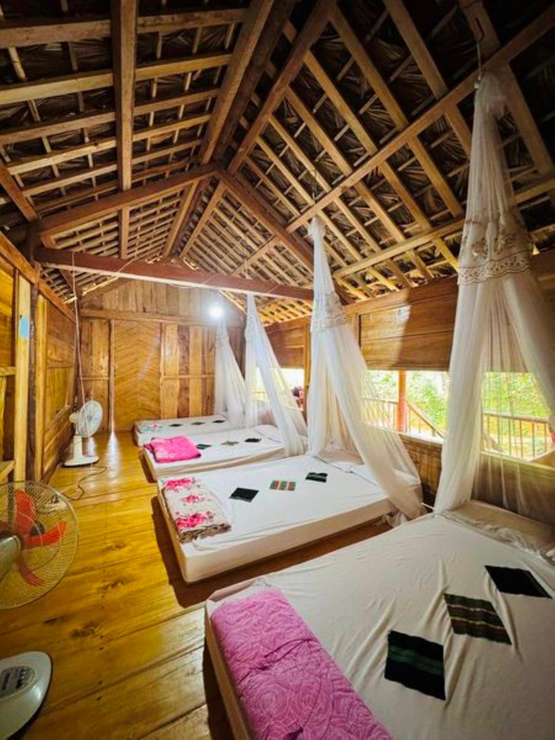 Bunk Bed In Mixed Dormitory Room photo 1