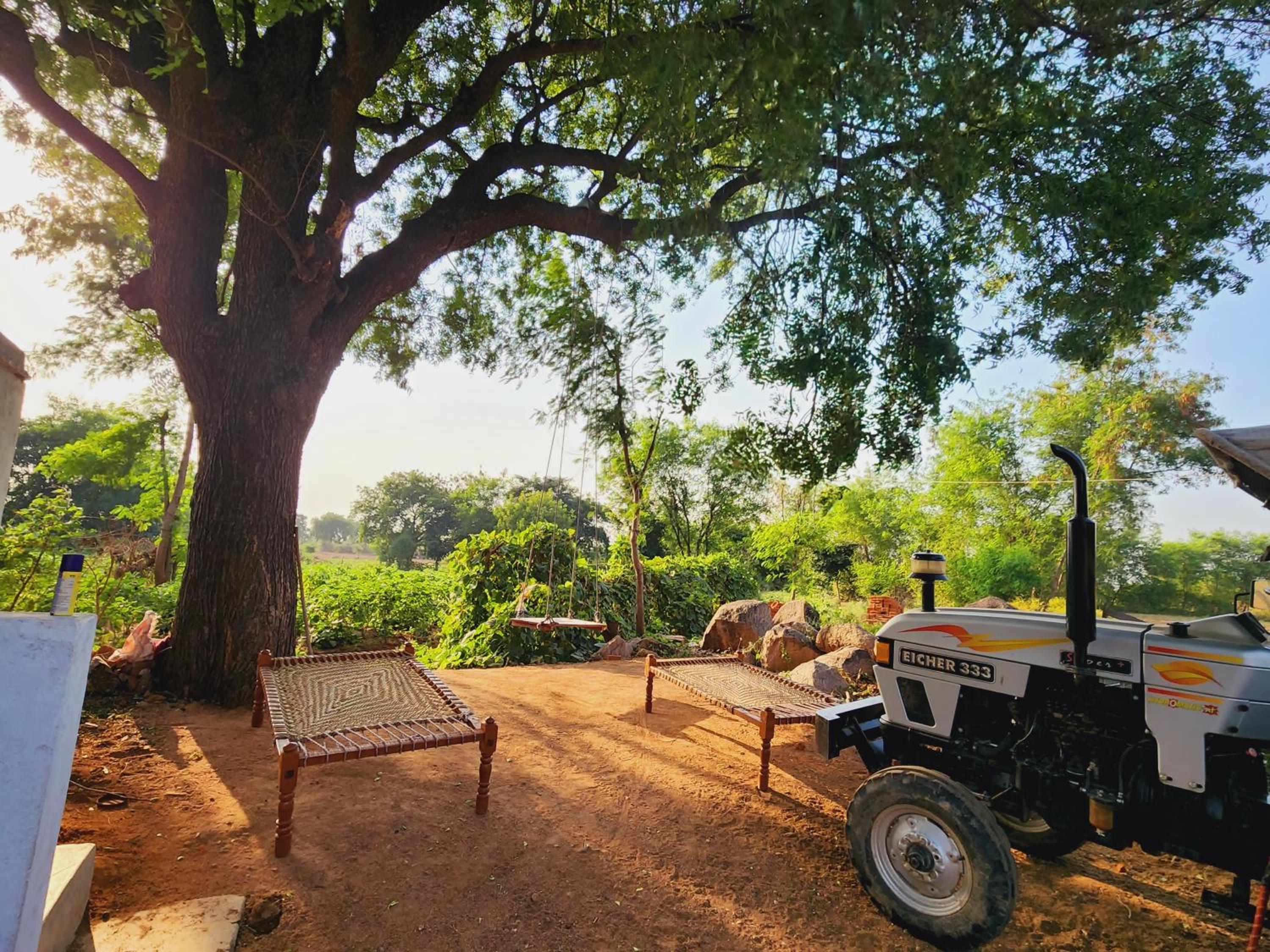 Double Room With Garden View photo 1