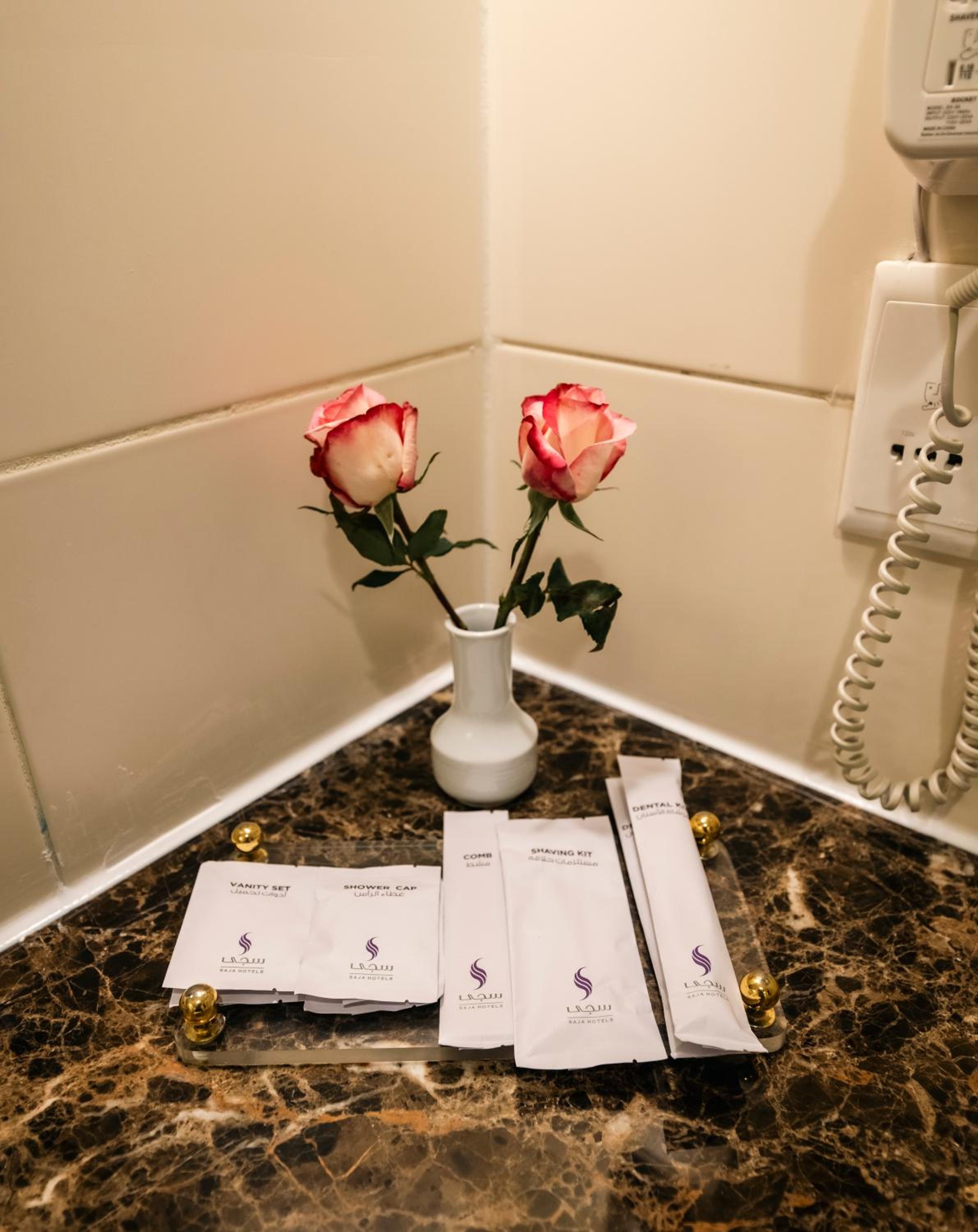 Executive suite one room Tower 1 photo 3