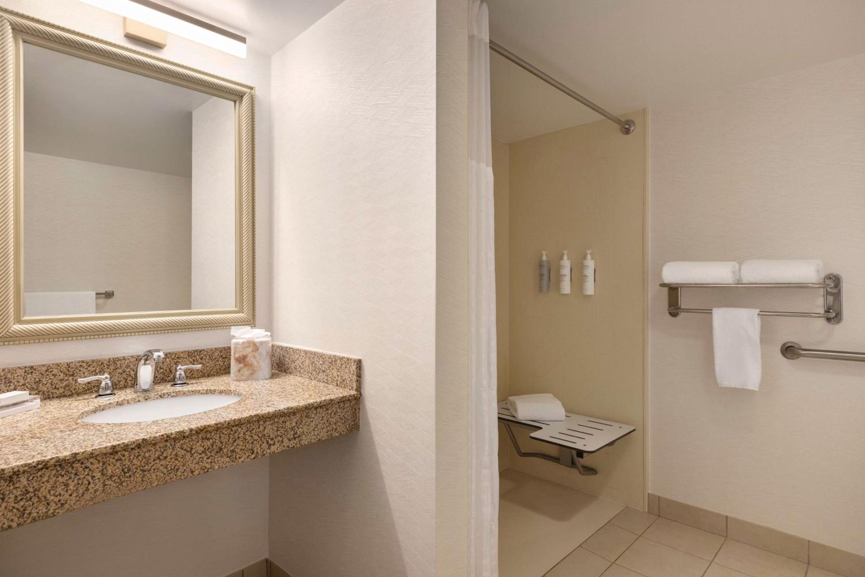 King Room with Roll-In Shower - Mobility/Hearing Accessible - Photo 5