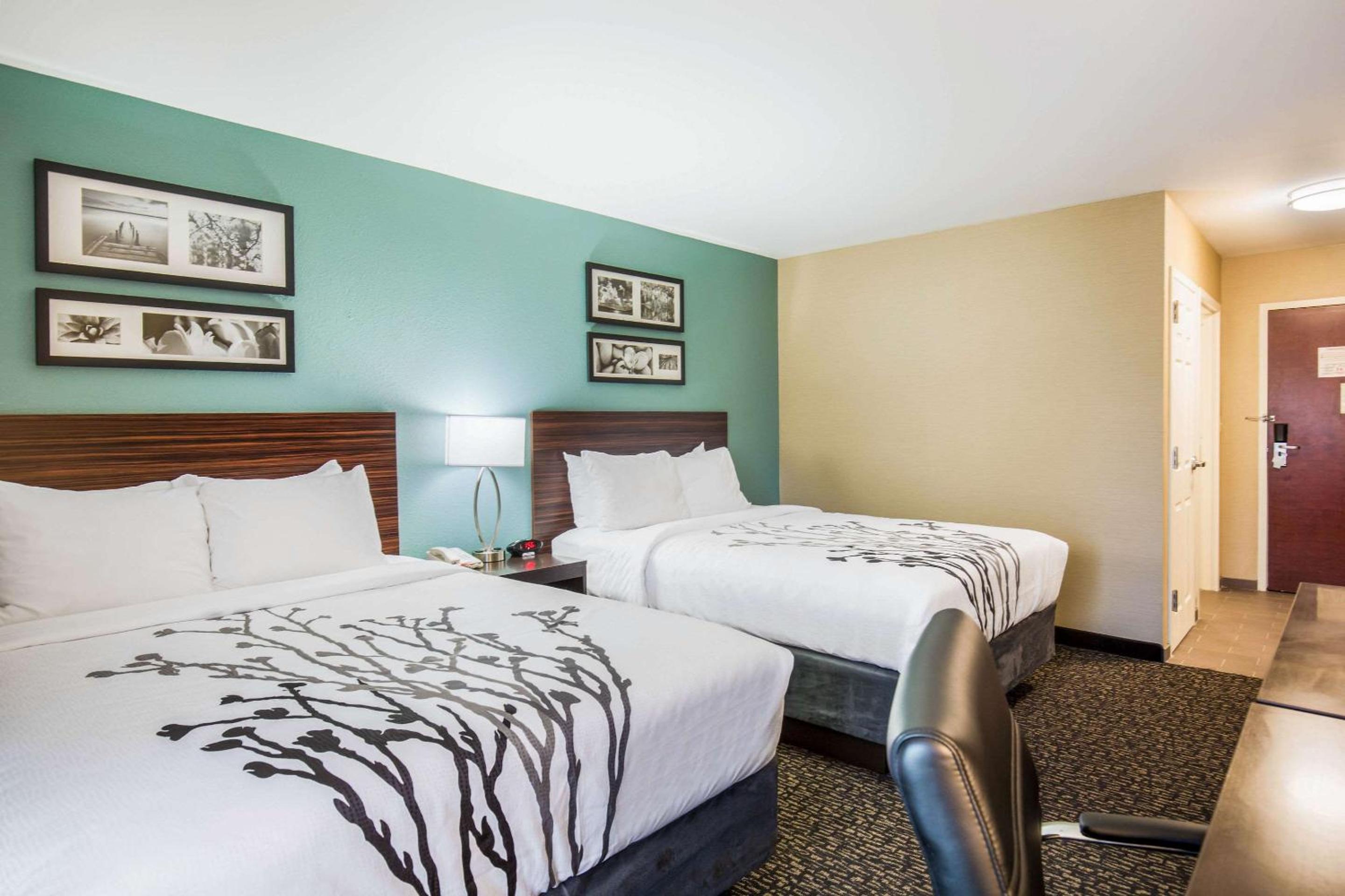 Standard Queen Room with Two Queen Beds - Non-Smoking - Photo 4