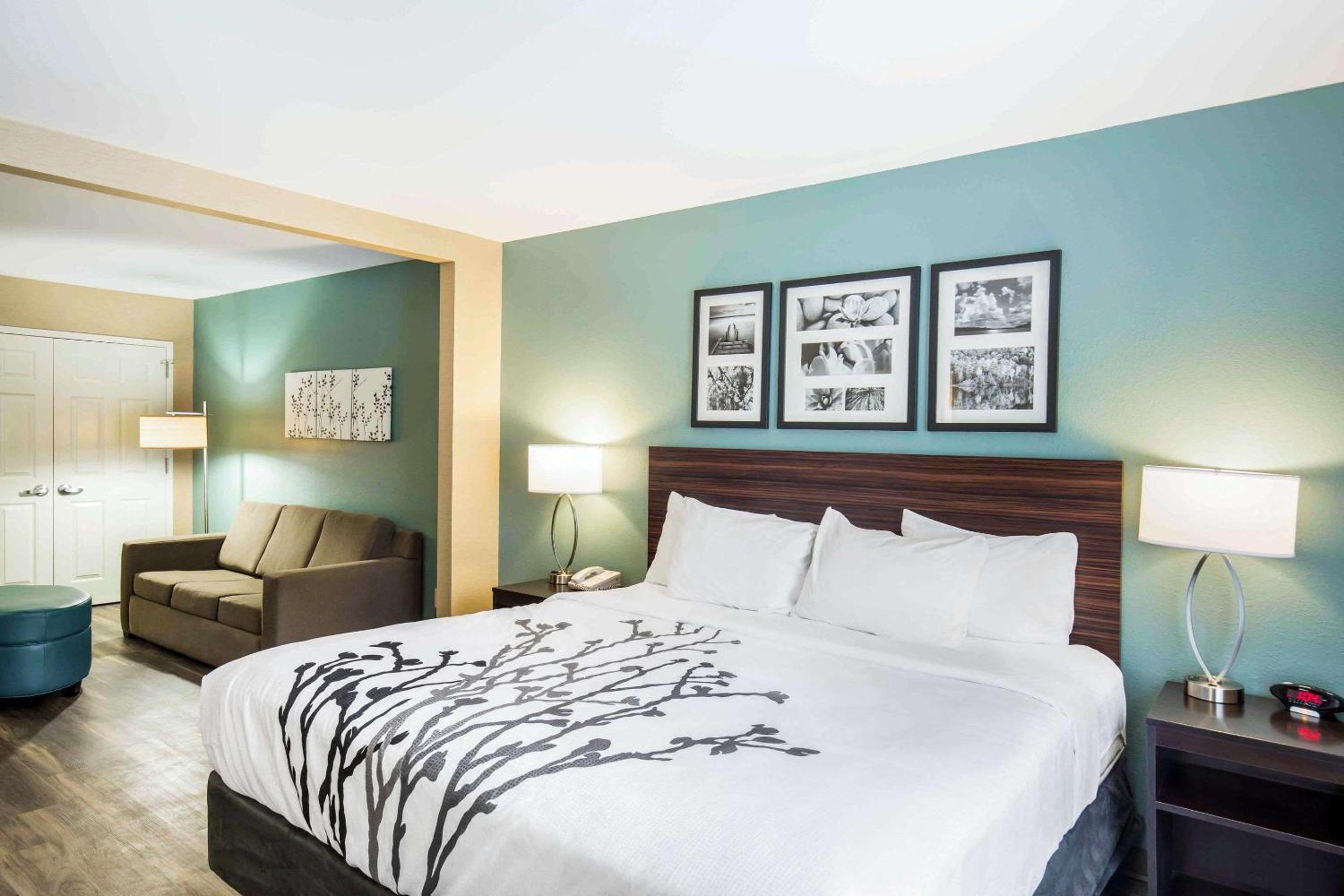 King Suite - Non-Smoking - Photo 1