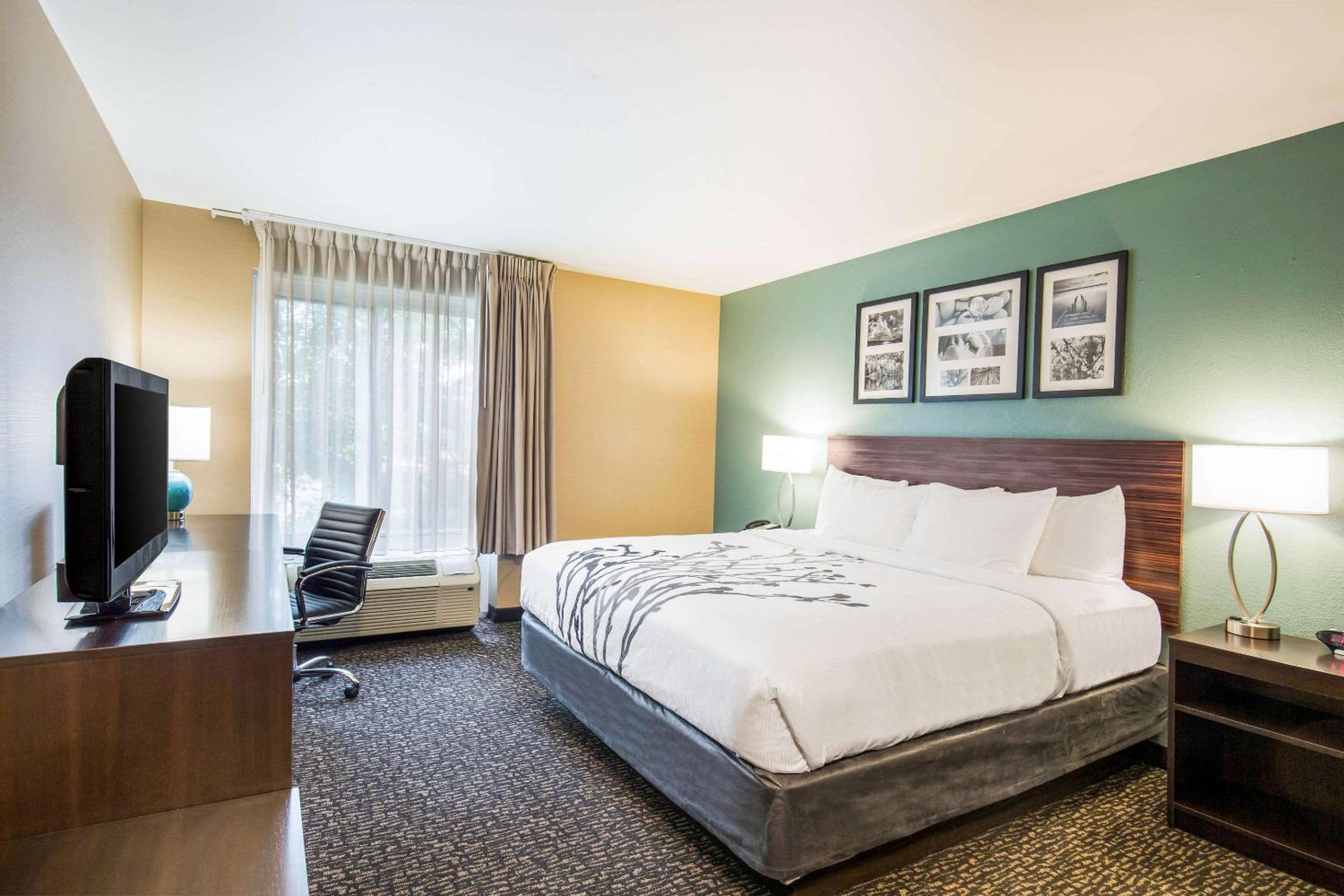 Standard King Room - Non-Smoking  - Photo 3