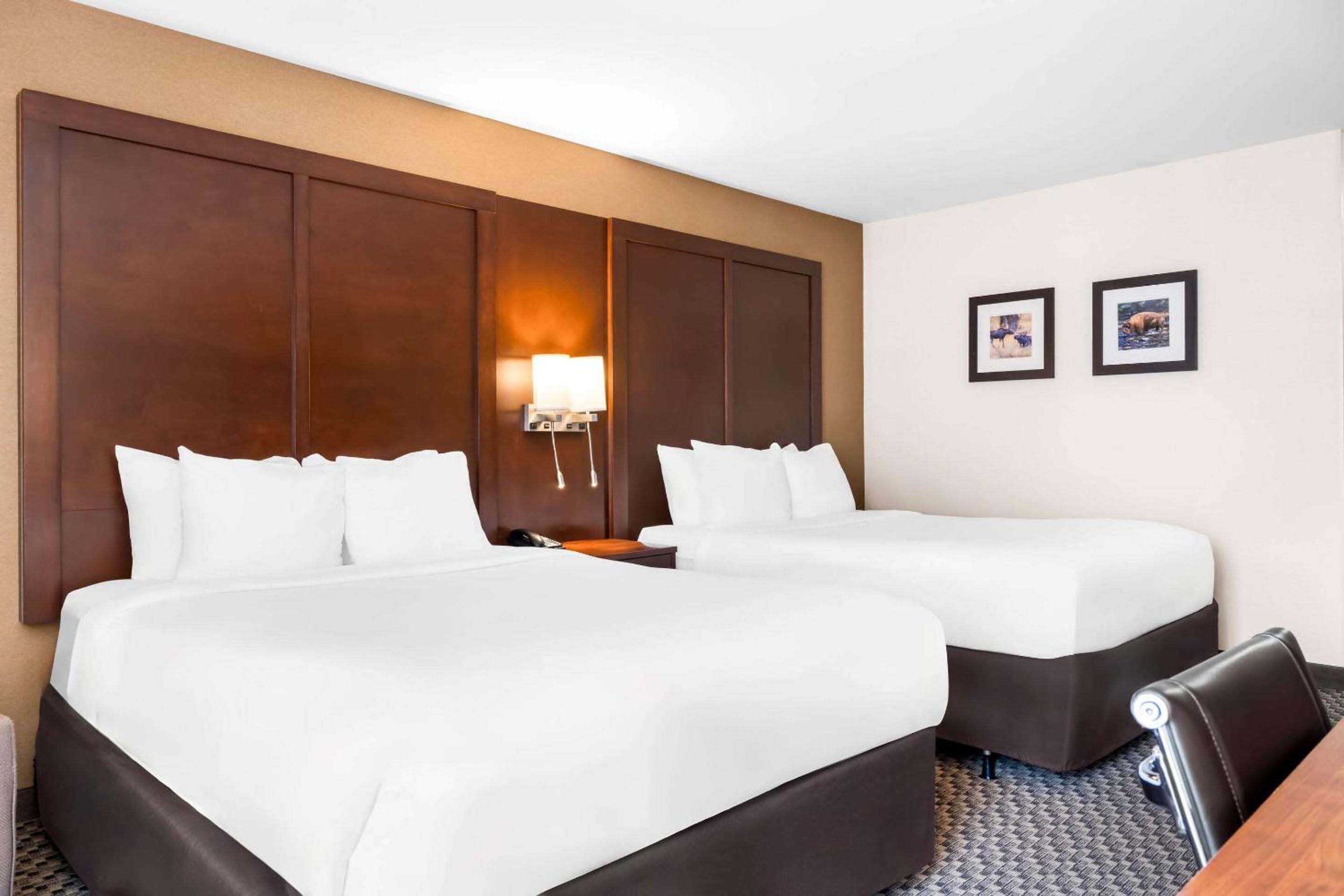Queen Room with Two Queen Beds - Non-Smoking - Photo 1