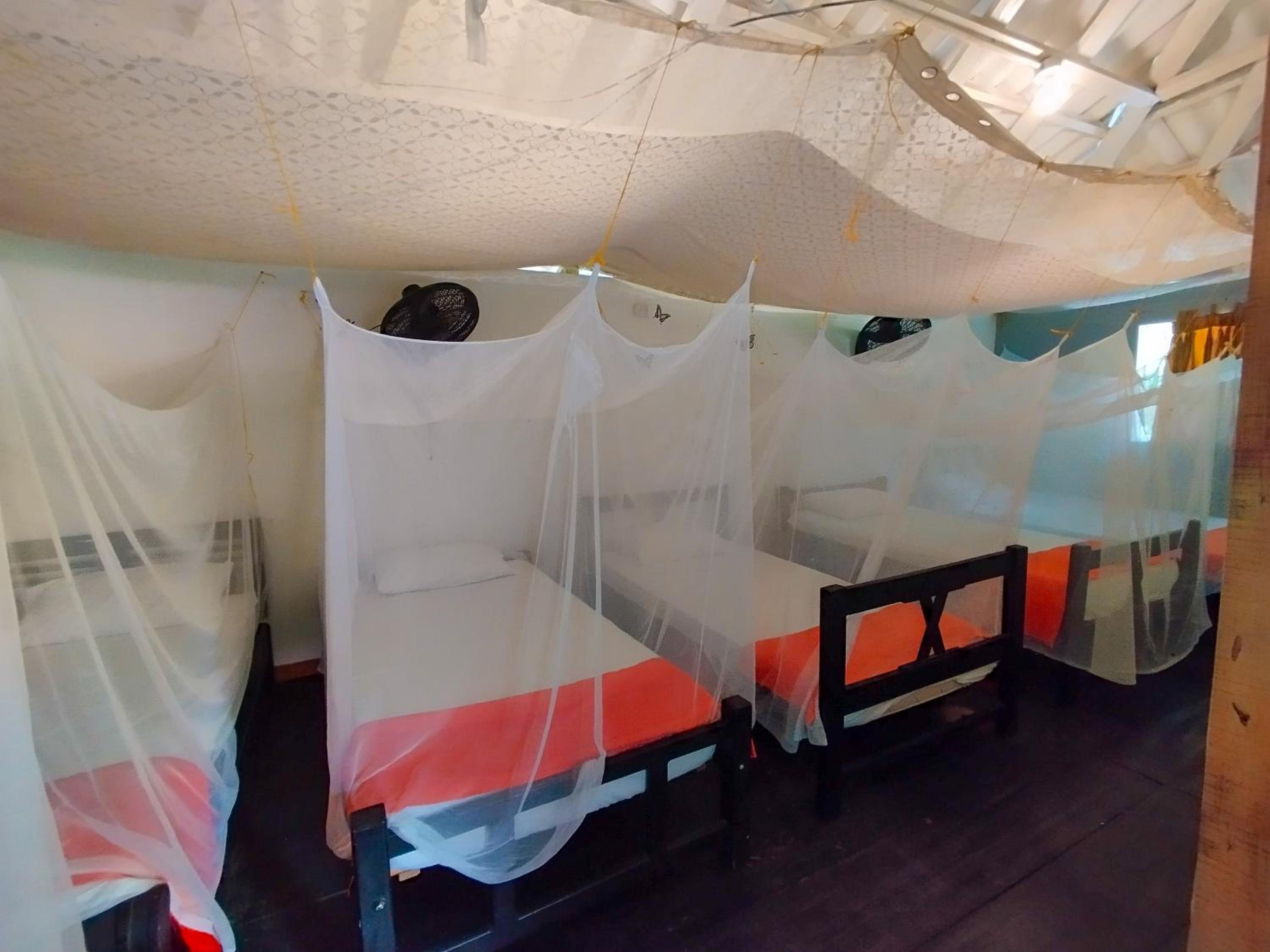 Mixed Dormitory Room photo 1