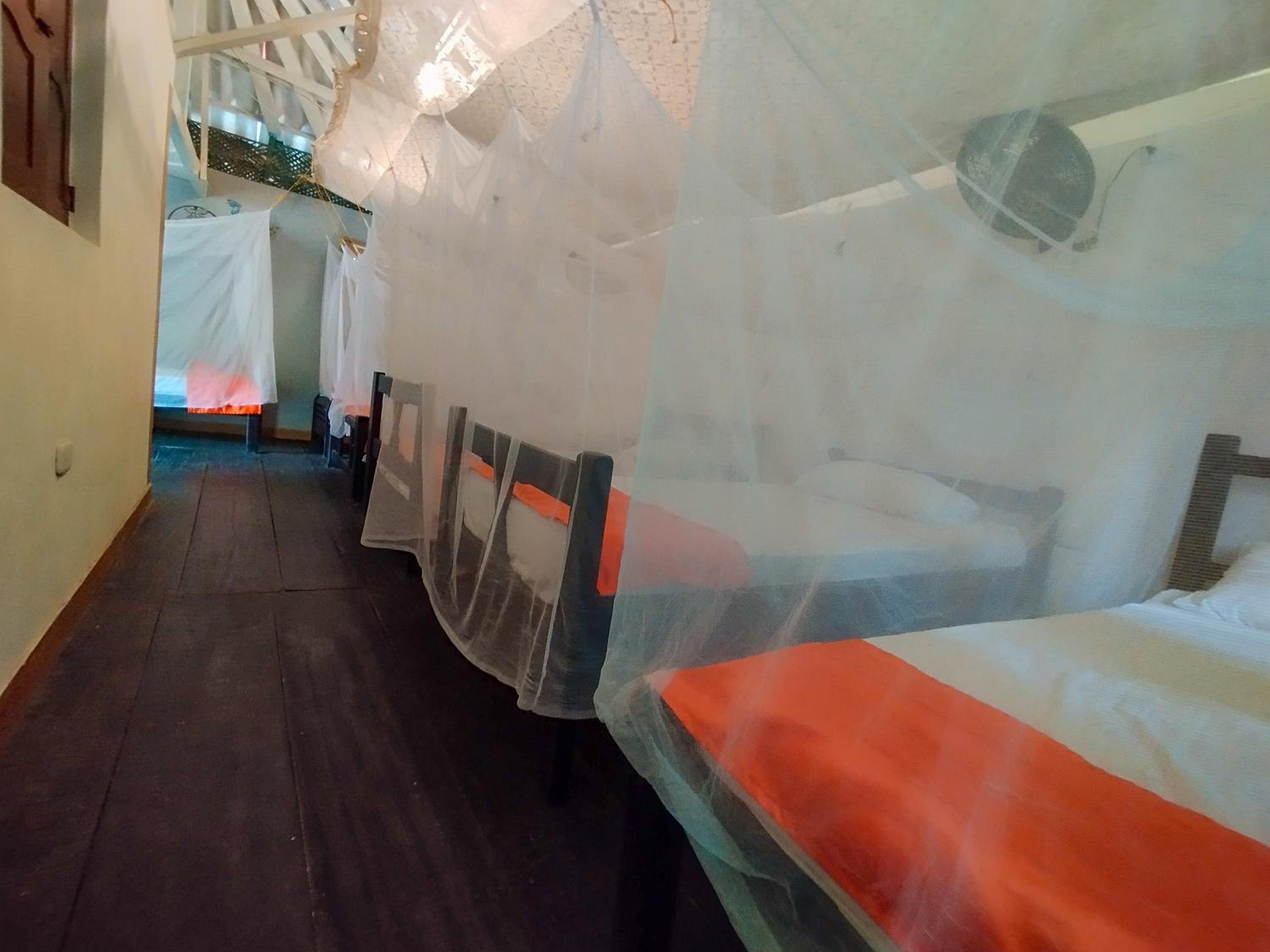 Mixed Dormitory Room photo 2
