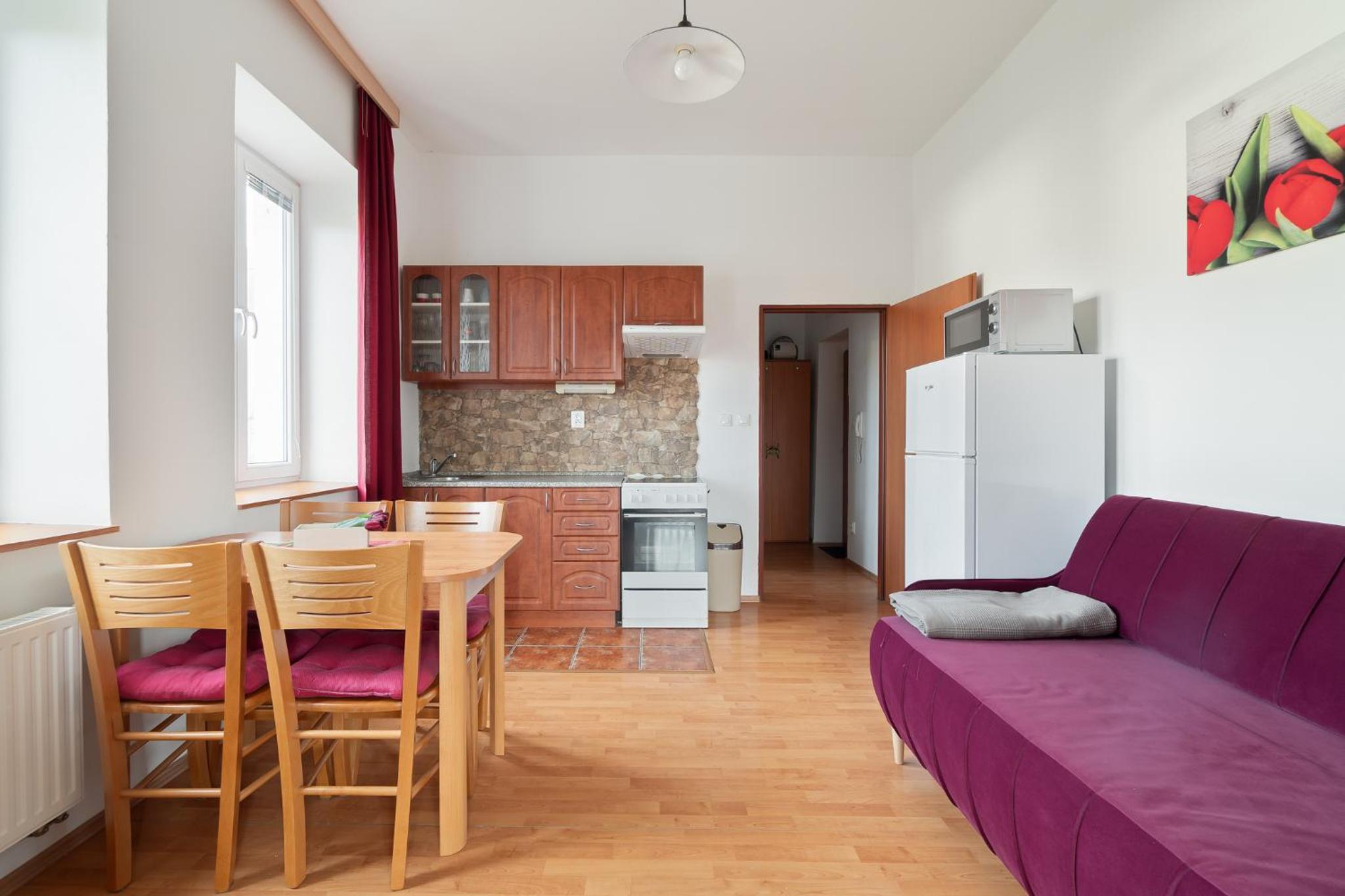 One-Bedroom Apartment photo 2