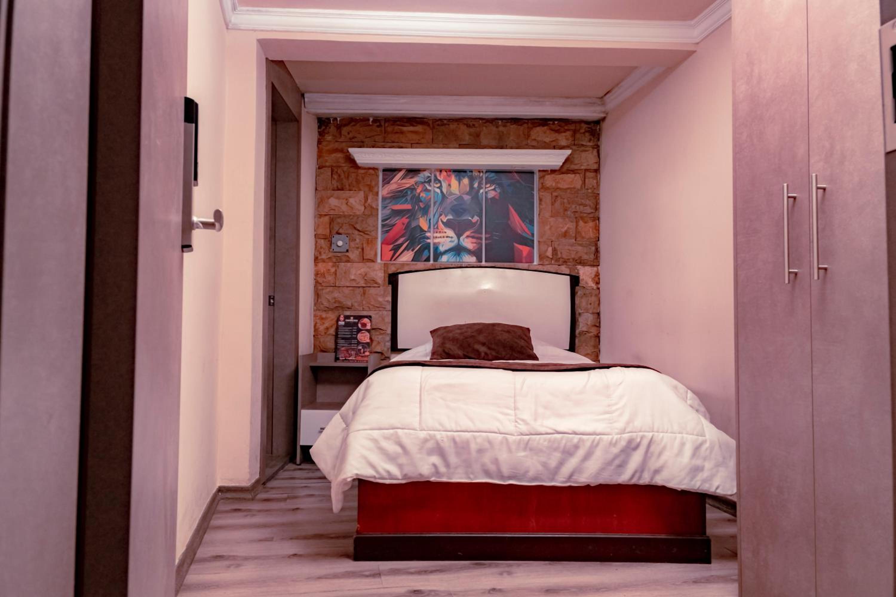 Single Room photo 1