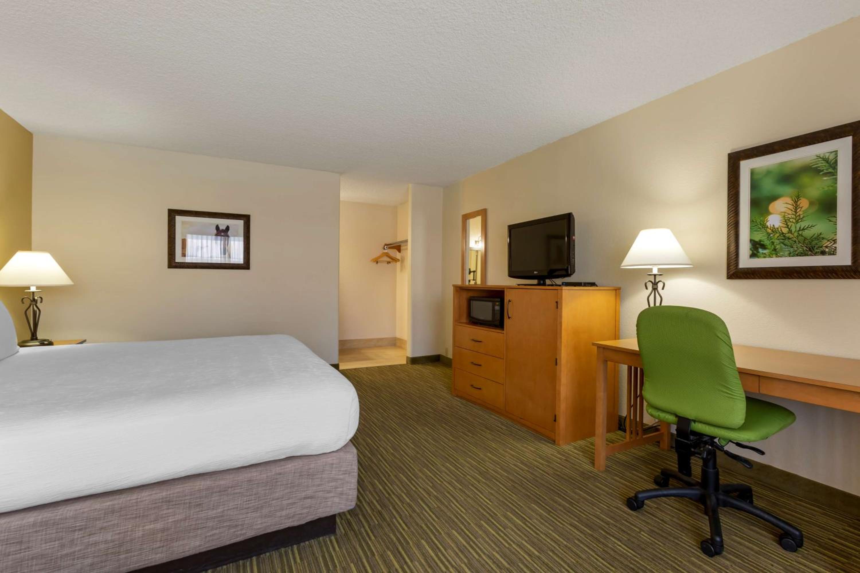 King Room - Non-Smoking photo 1