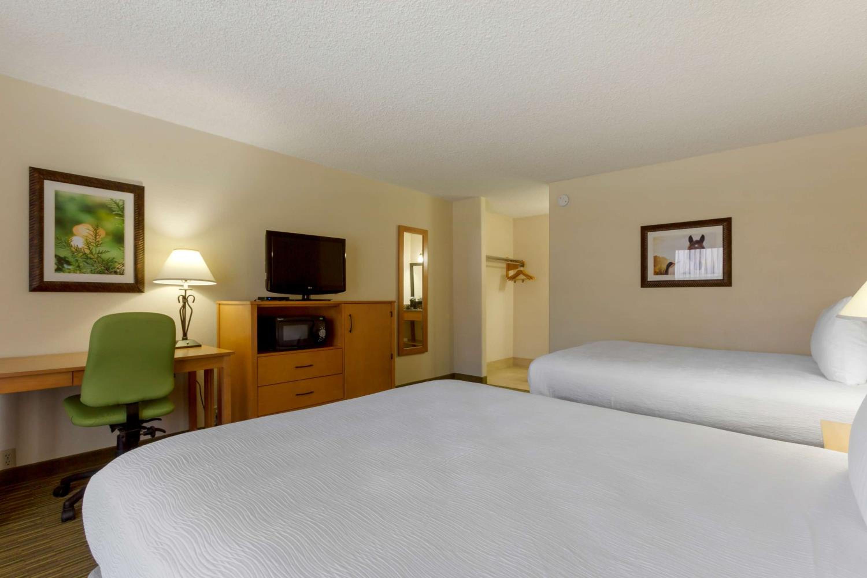 Queen Room with Two Queen Beds - Non-Smoking photo 3