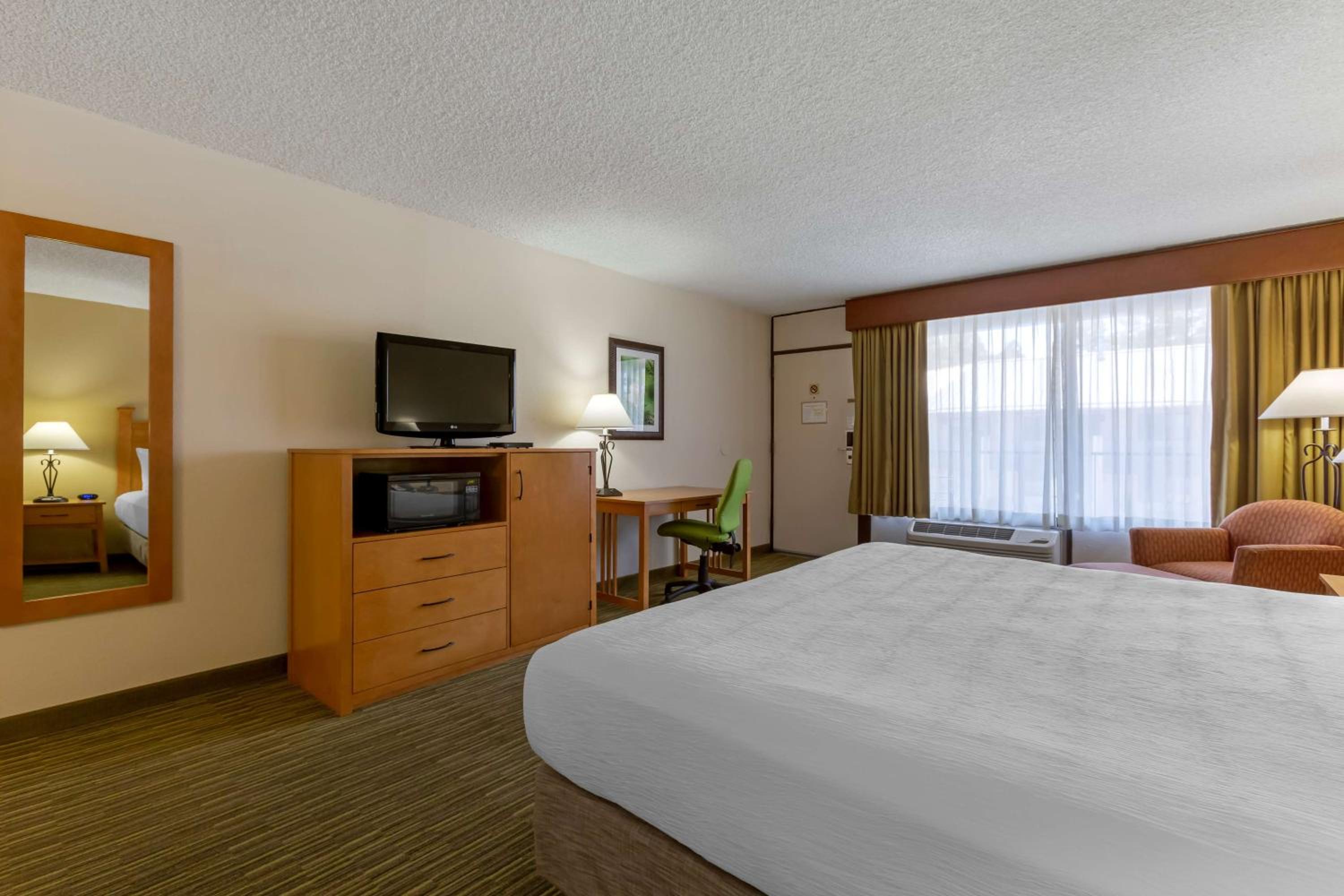 King Room - Non-Smoking photo 2