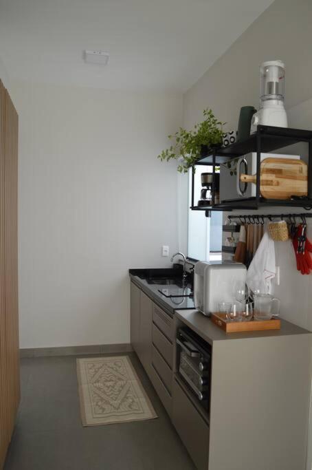 One-Bedroom Apartment photo 3
