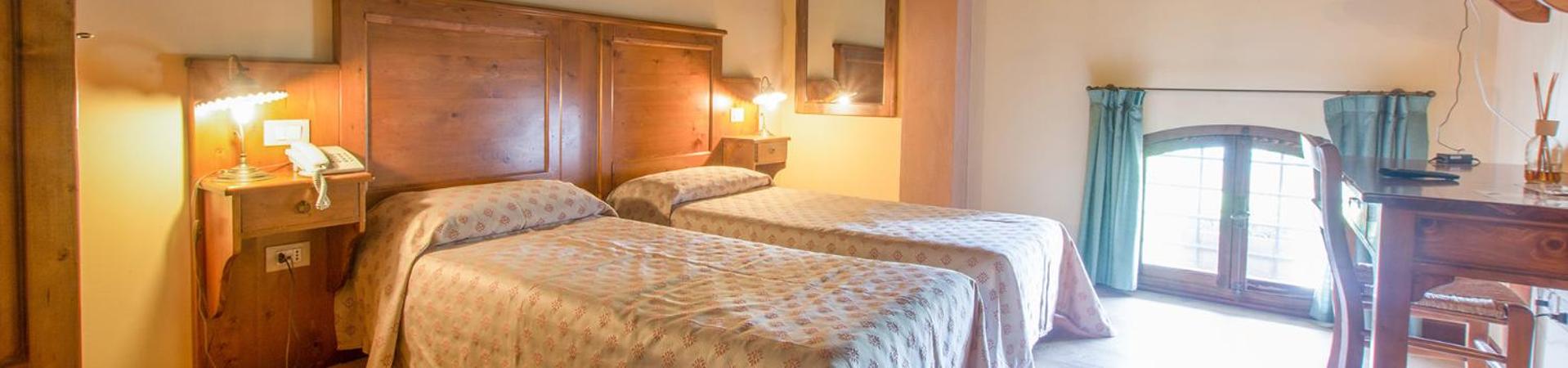 Double or Twin Room