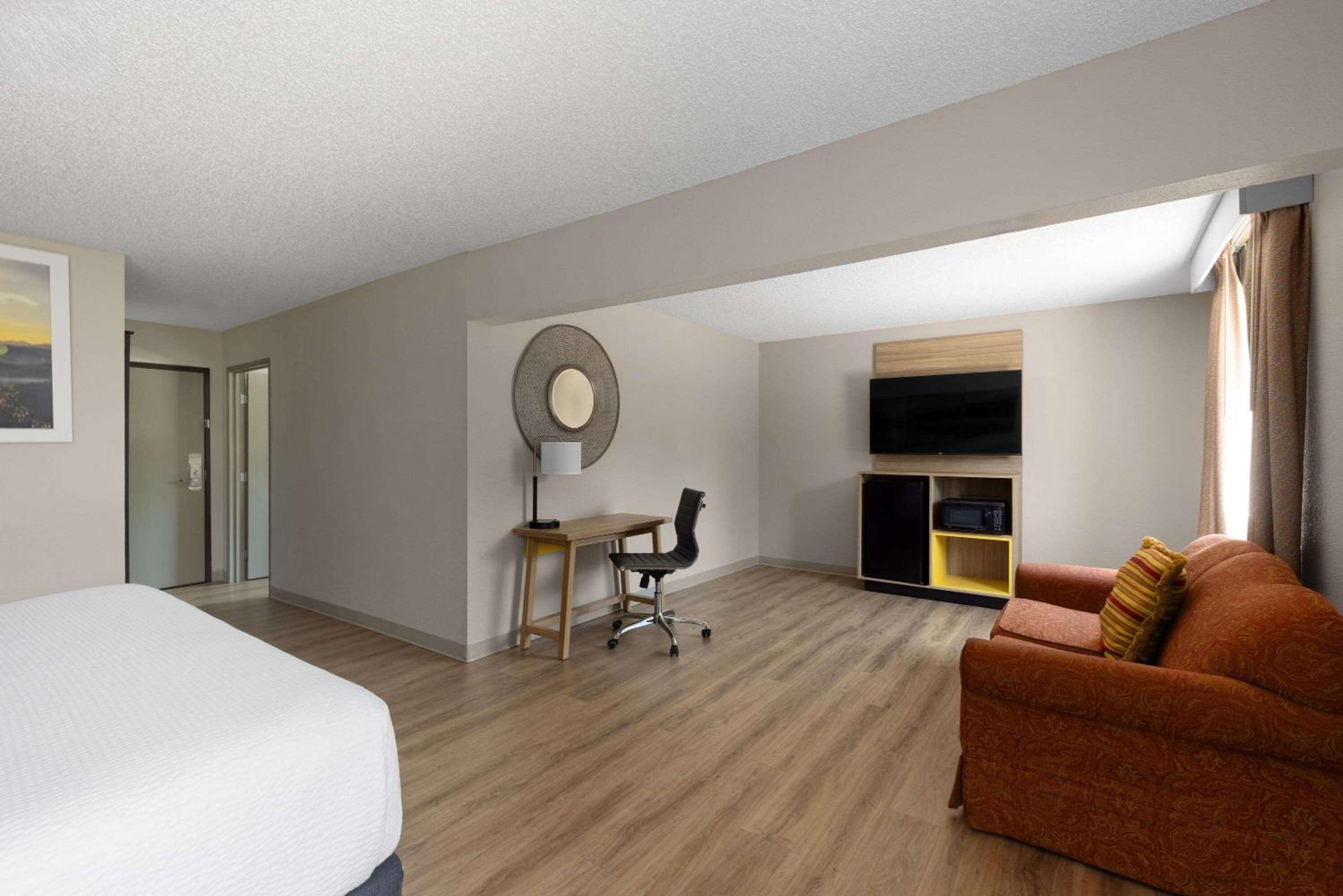 Suite - Photo 1