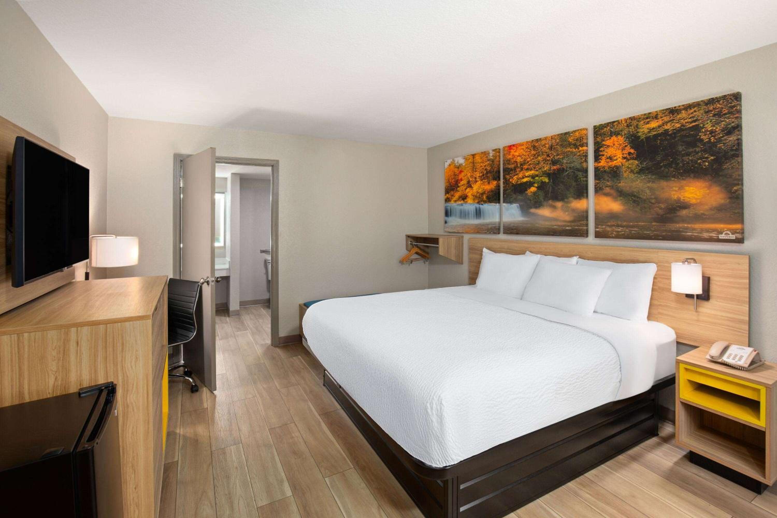 King Room with Mobility Access and Bathtub with Grab Bars, Non-Smoking - Photo 1