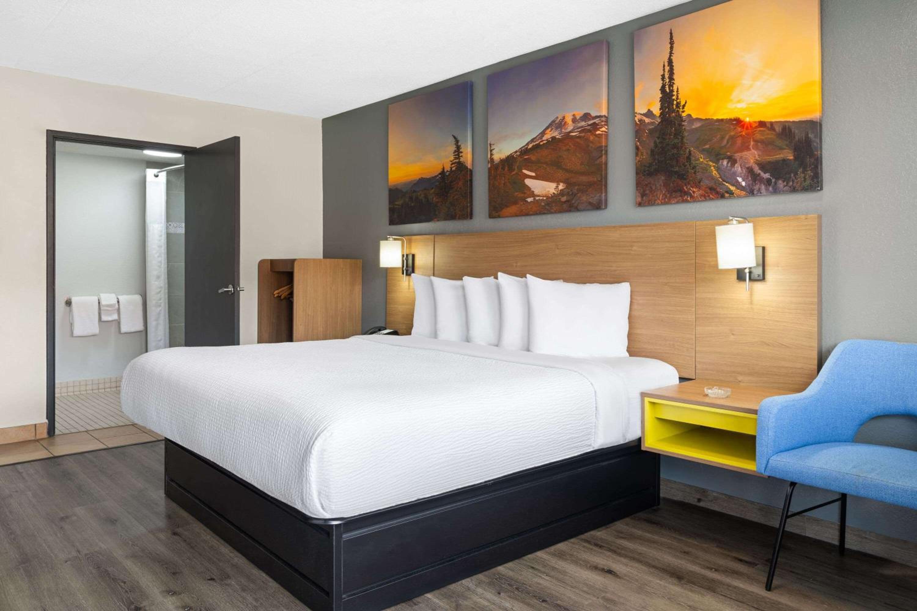 King Room with Mobility Access, Roll-In Shower, Smoking - Photo 1