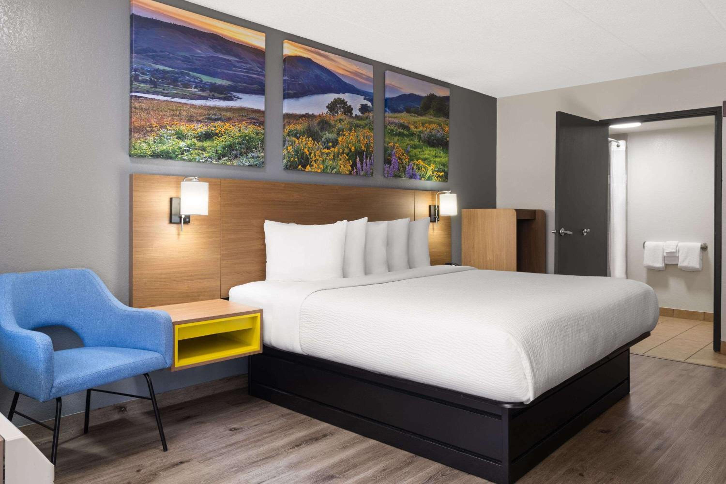 King Room with Mobility Access and Bathtub with Grab Bars, Non-Smoking - Photo 1