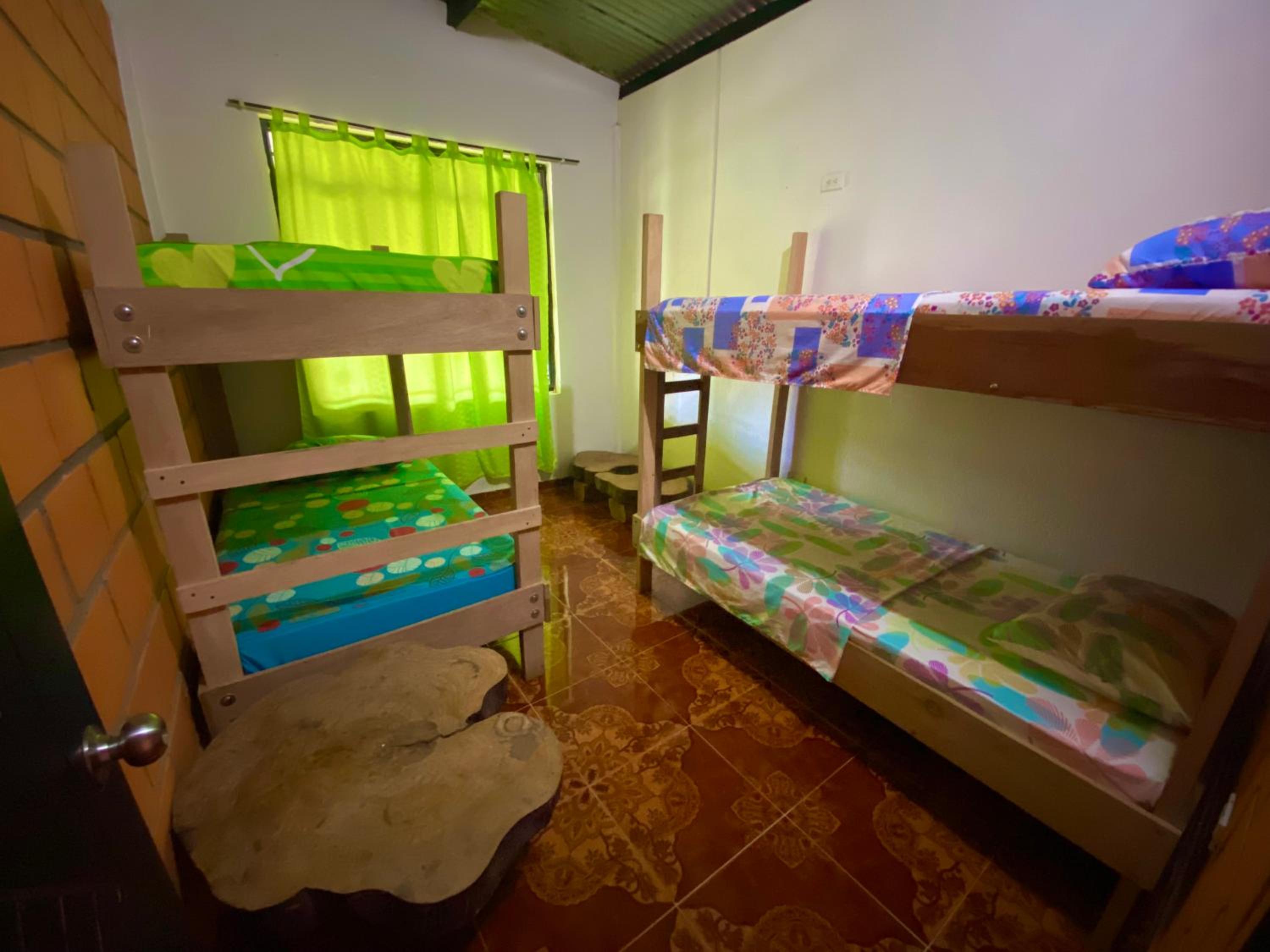 Single Bed in 4-Bed Dormitory Room photo 2
