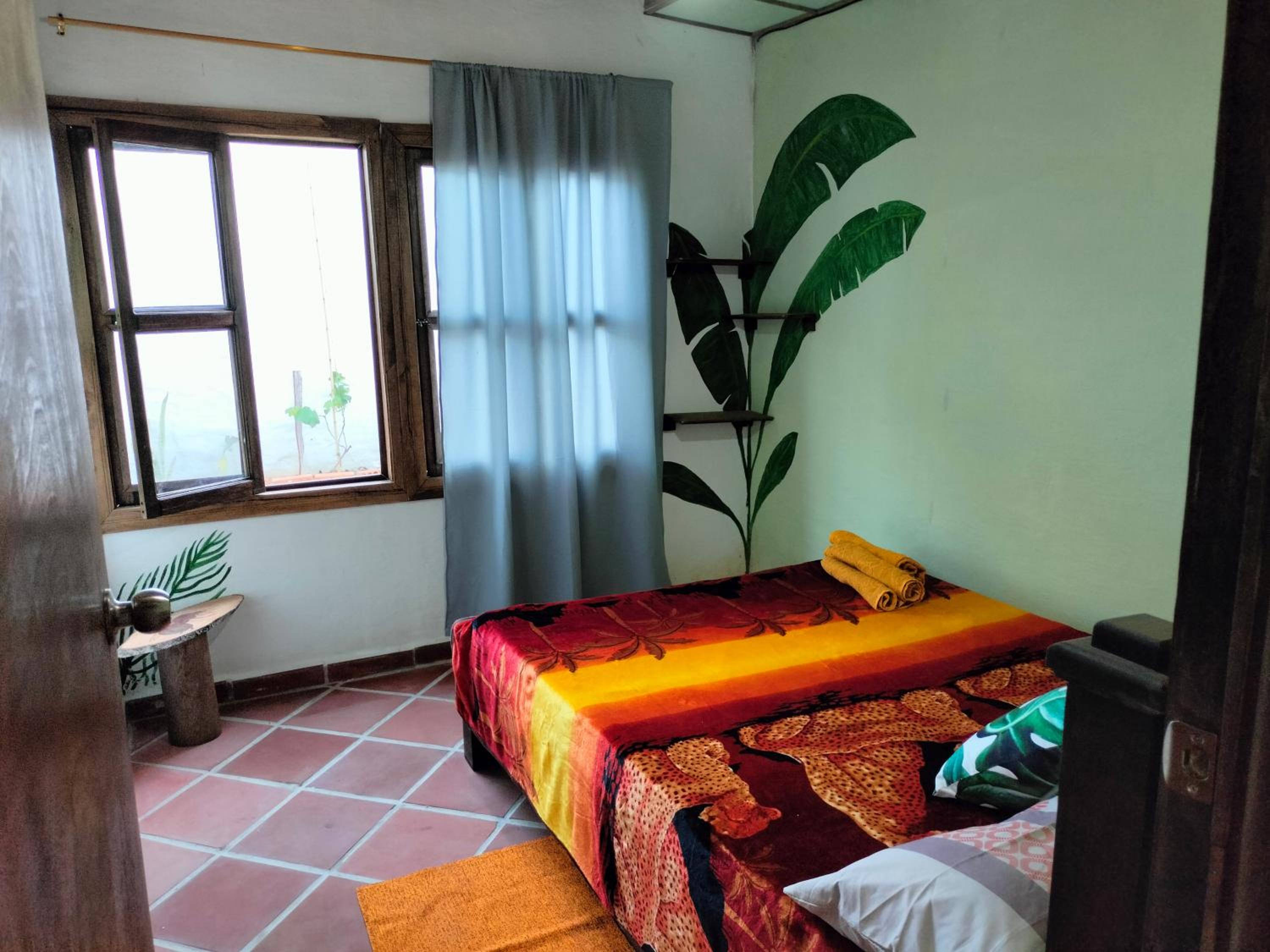 Three-Bedroom House photo 2