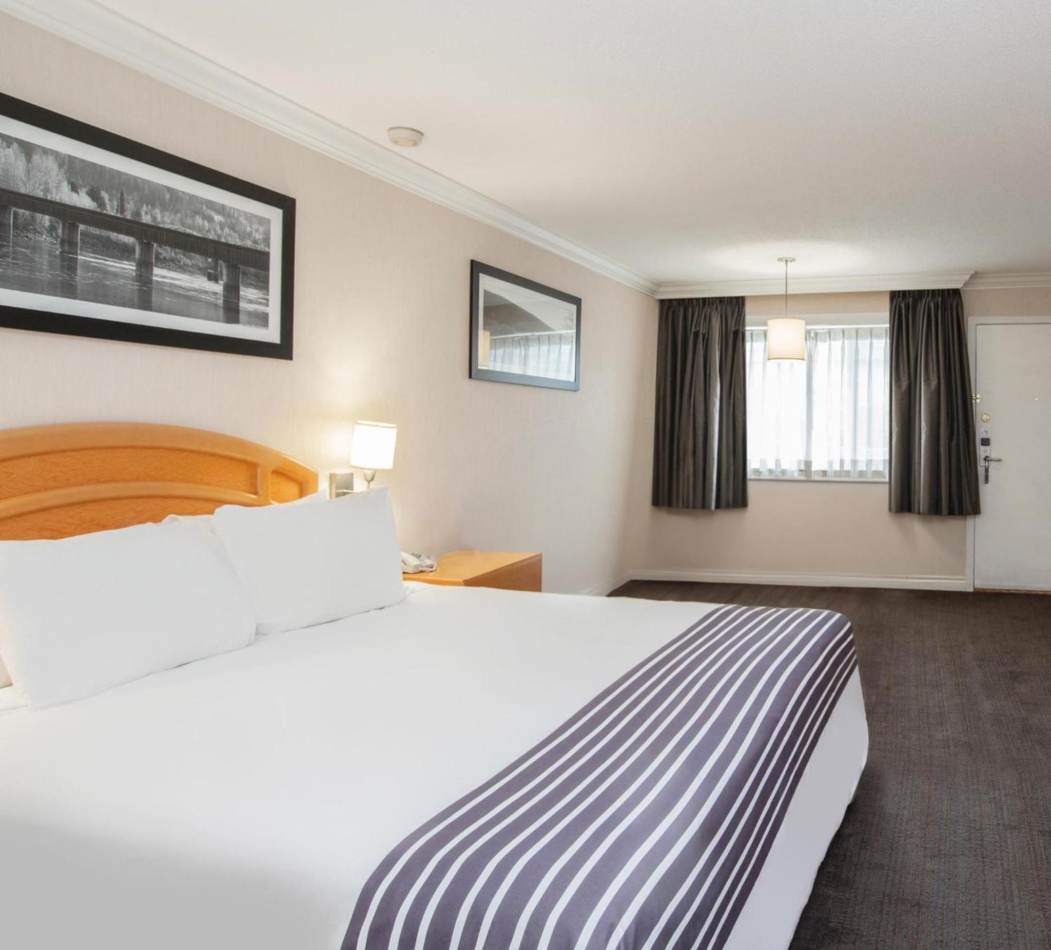 Standard Room, 1 King Bed, Monashee Building