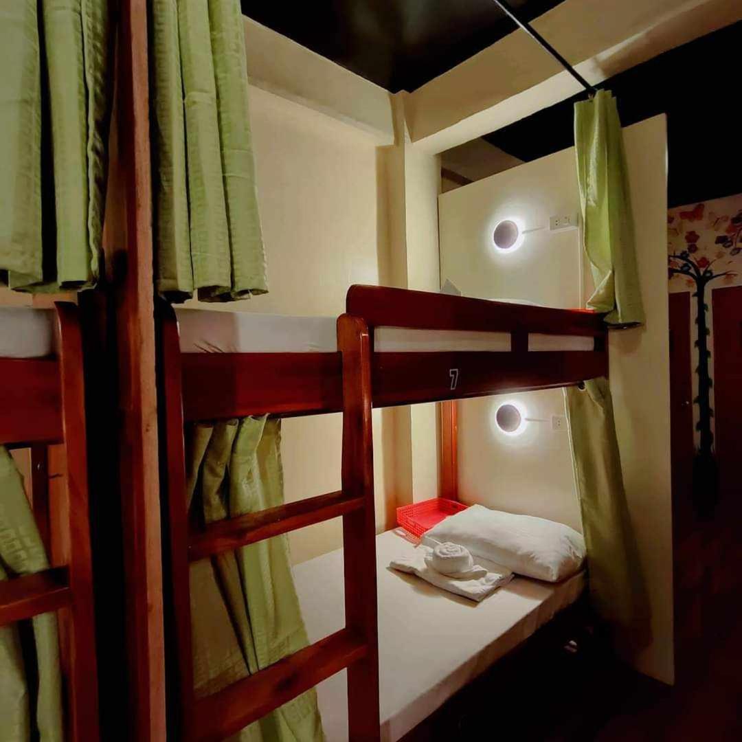 Single Bed in Mixed Dormitory Room photo 2