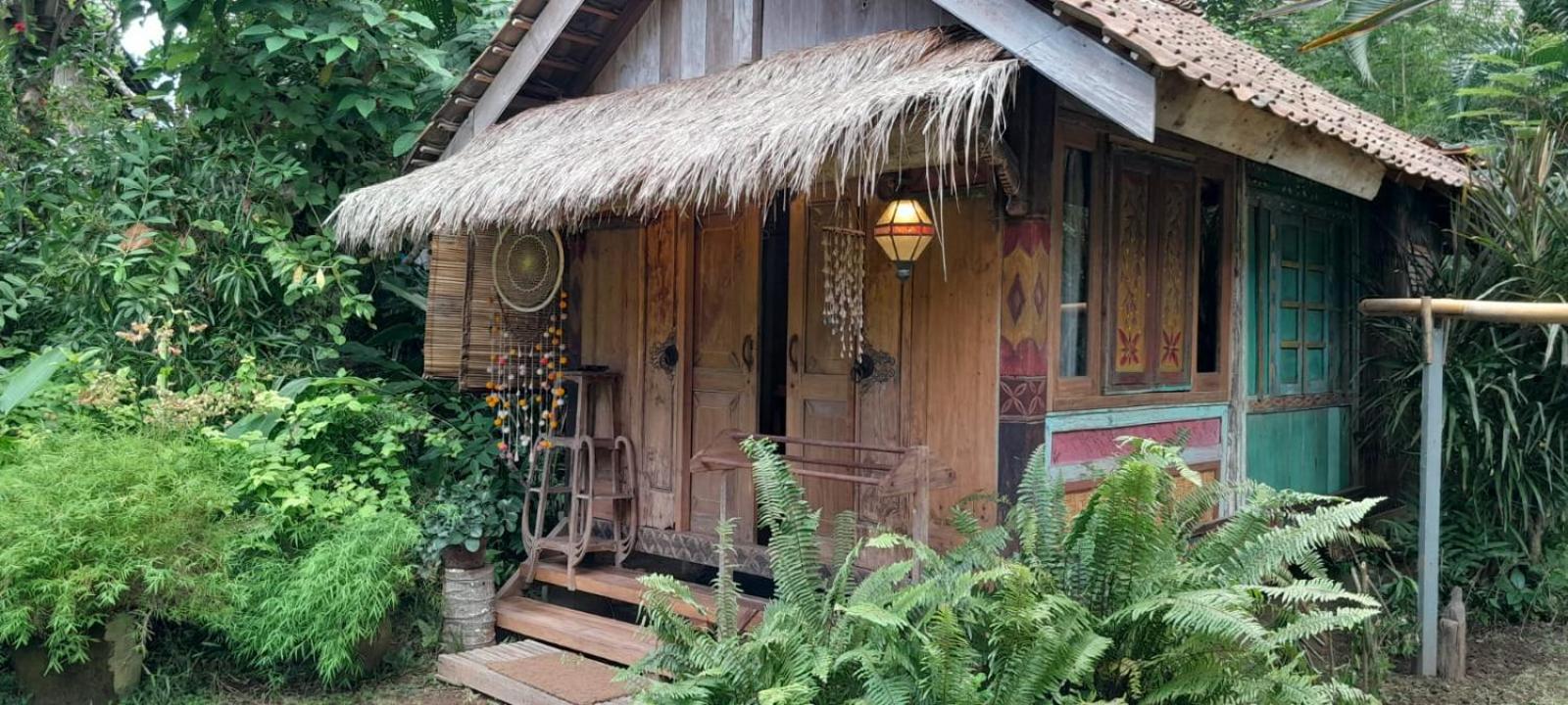 Single Room with Garden View photo 2