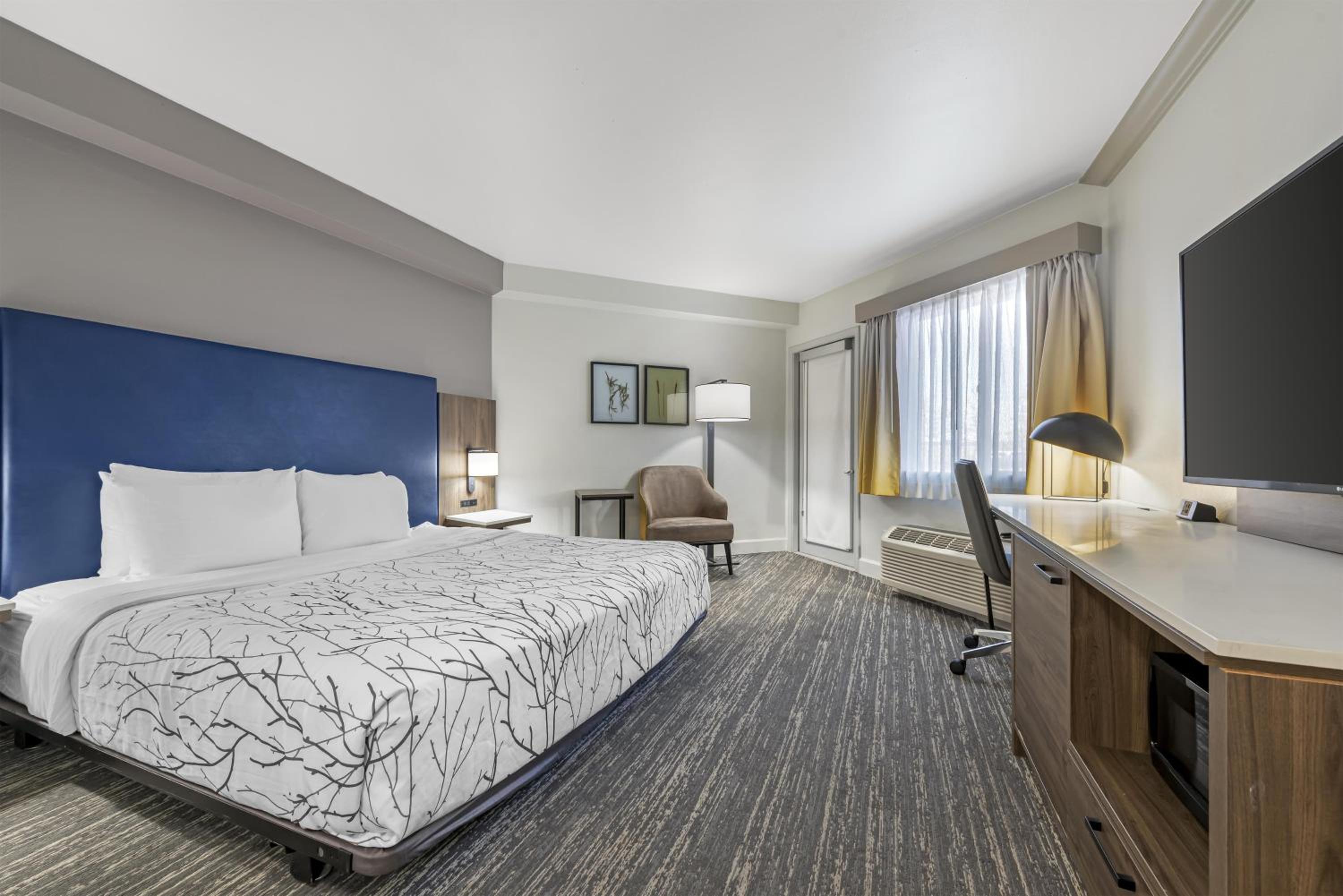 King Room with Walk-In Shower and Patio - Disability Access/Non-Smoking