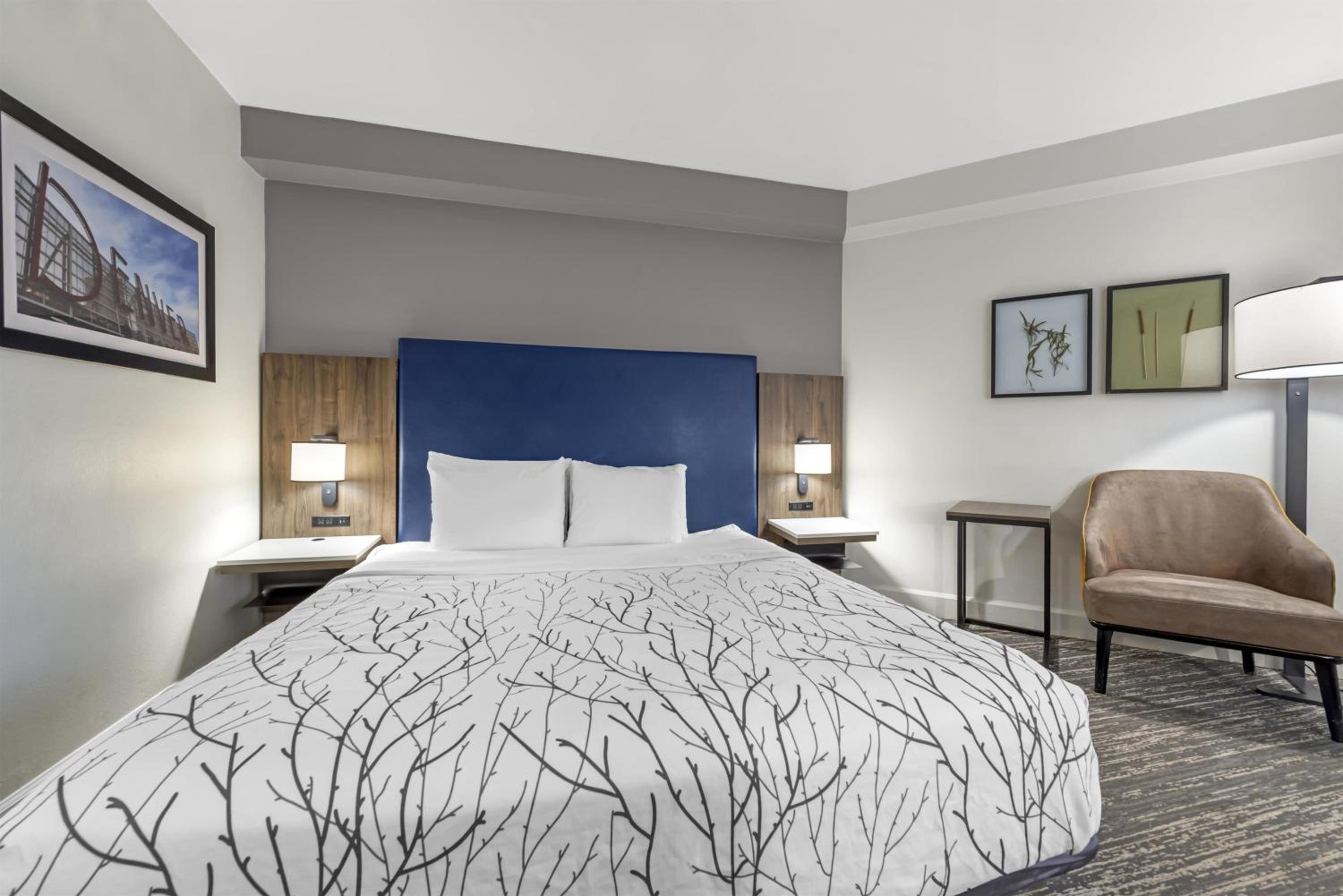 King Room with Walk-In Shower and Patio - Disability Access/Non-Smoking