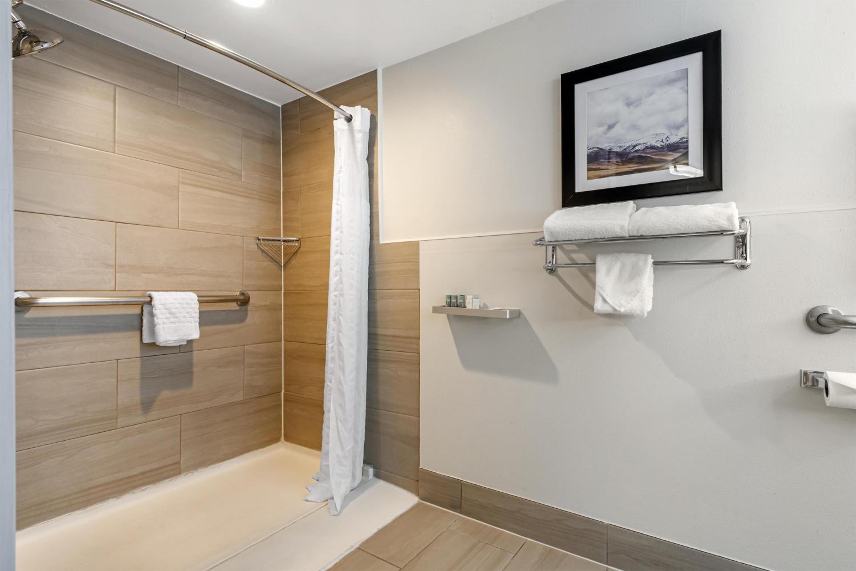 King Room with Walk-In Shower and Patio - Disability Access/Non-Smoking