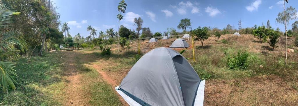 Tent photo 3