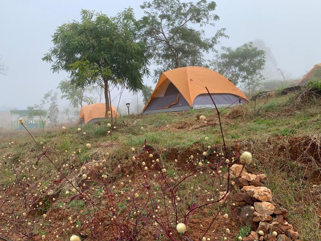 Tent photo 2