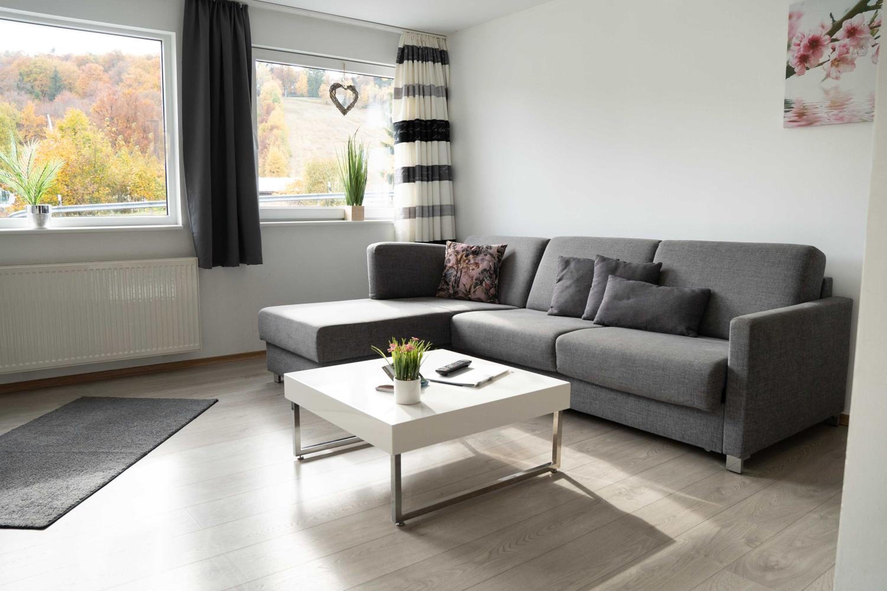 Two-Bedroom Apartment with Mountain View