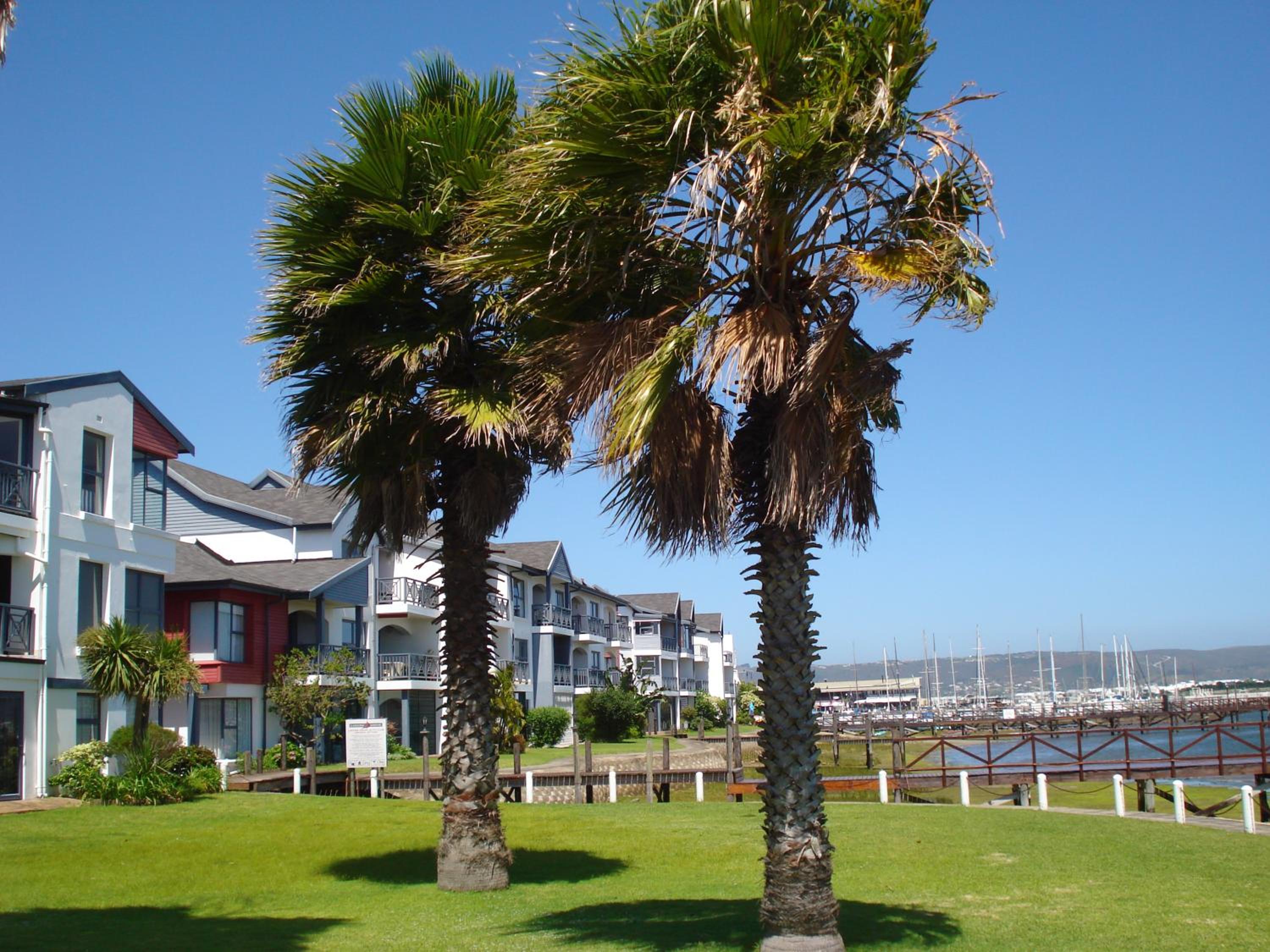 Apartment with Sea View - Photo 33