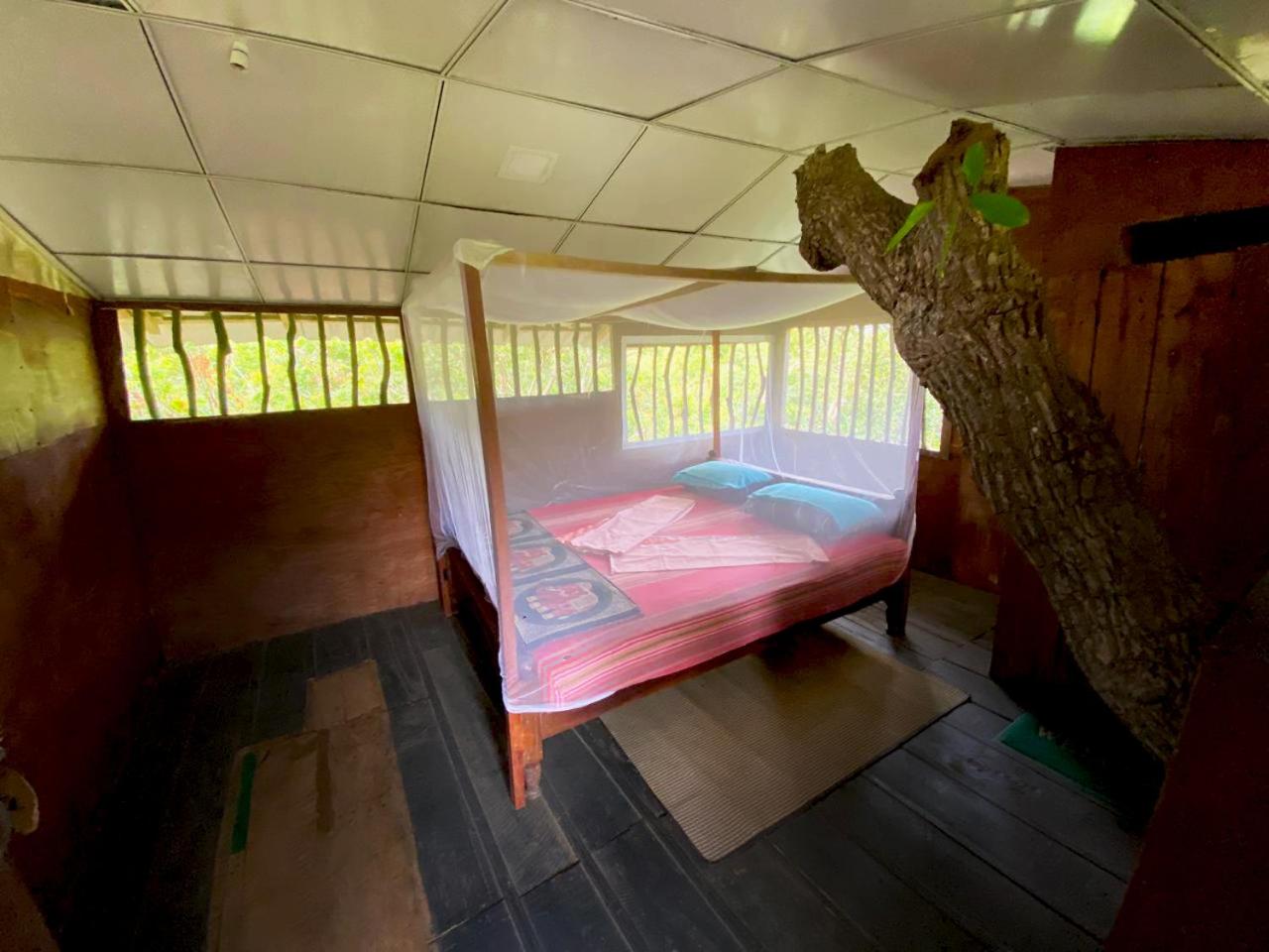 Double Or Twin Room With Balcony photo 1