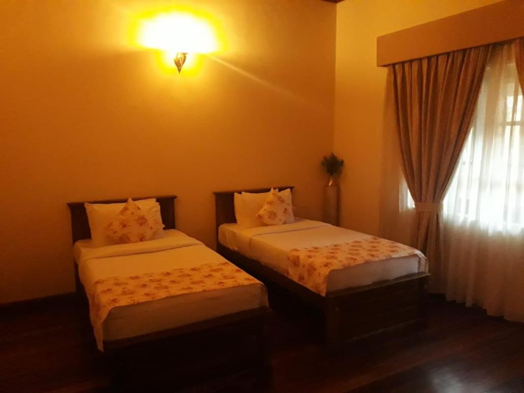 Twin Room photo 2