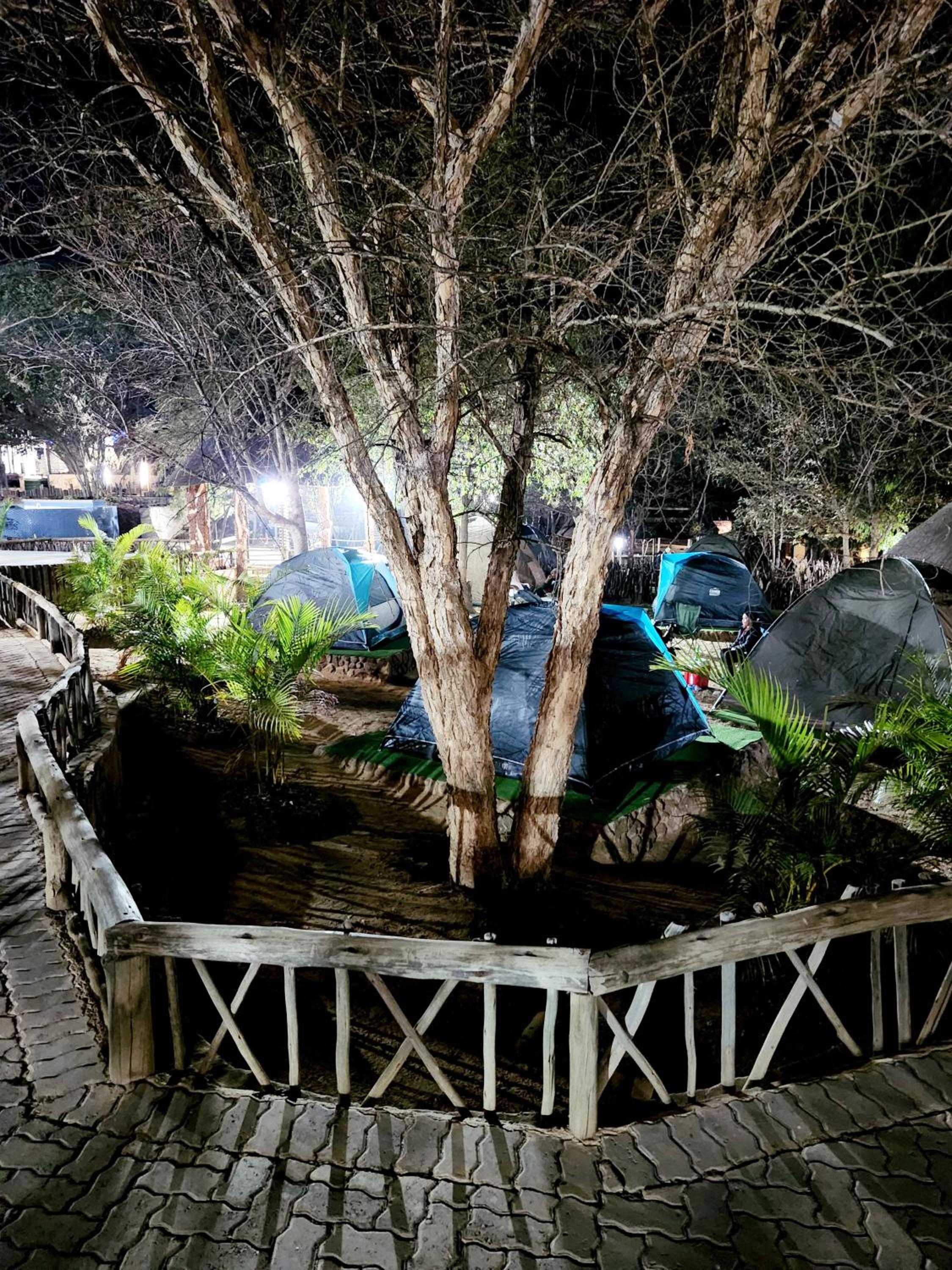 Tent photo 3