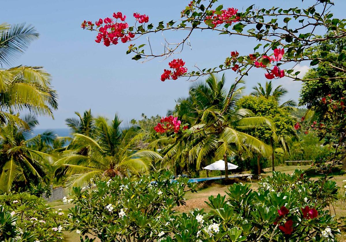 Villa - Beach Front photo 2