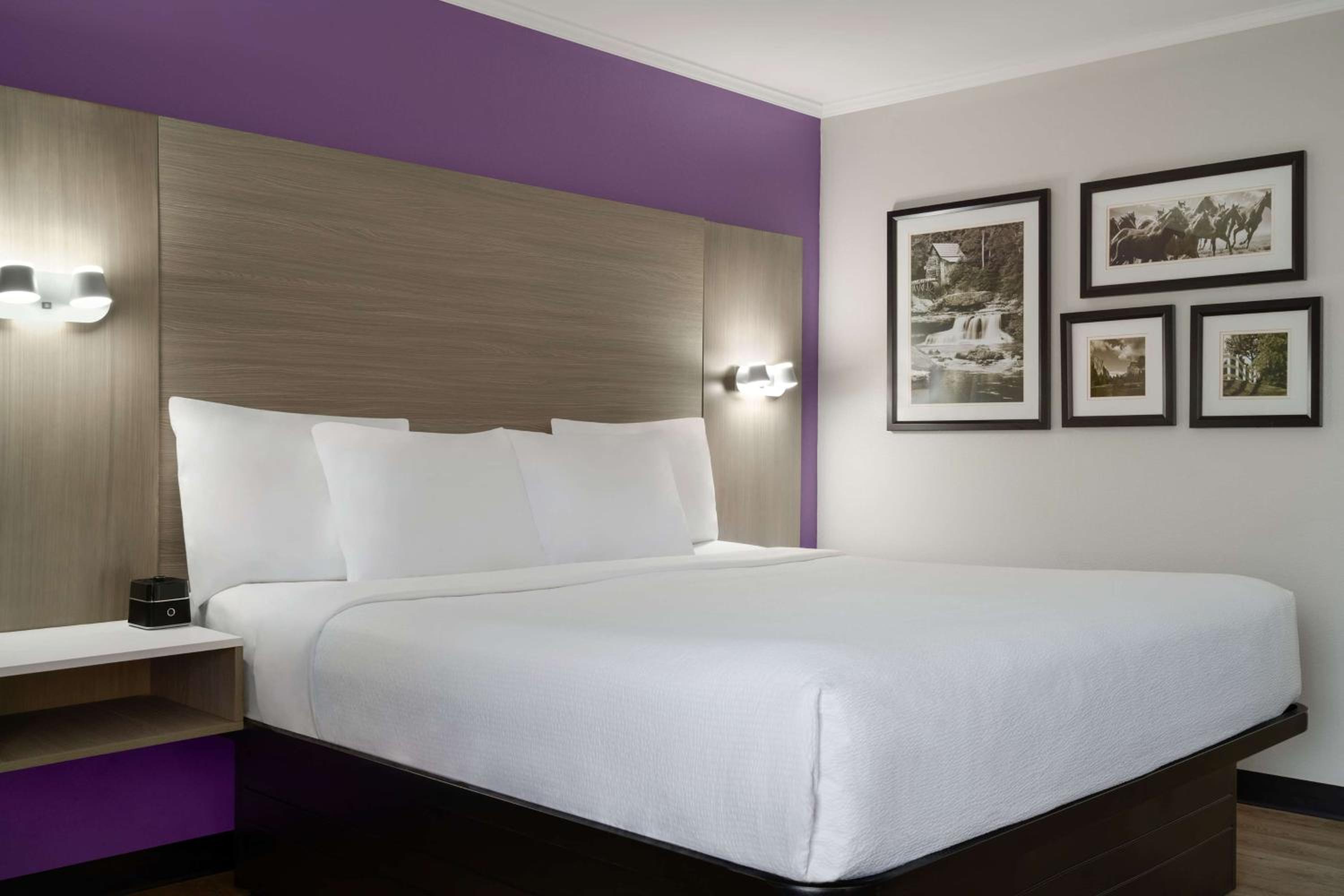 Standard King Room - Photo 1