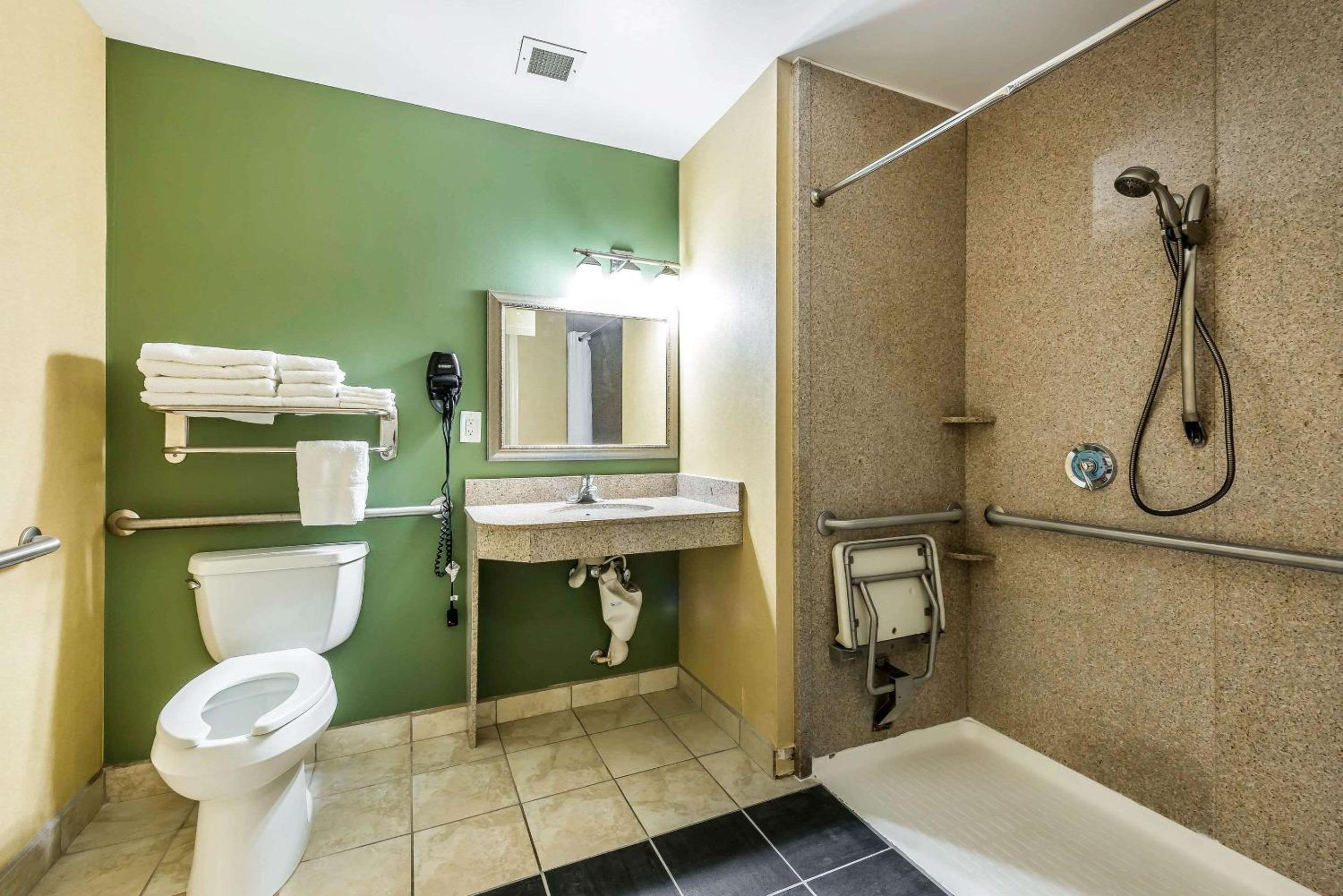 King Room with Roll-In Shower - Accessible/Non-Smoking - Photo 2