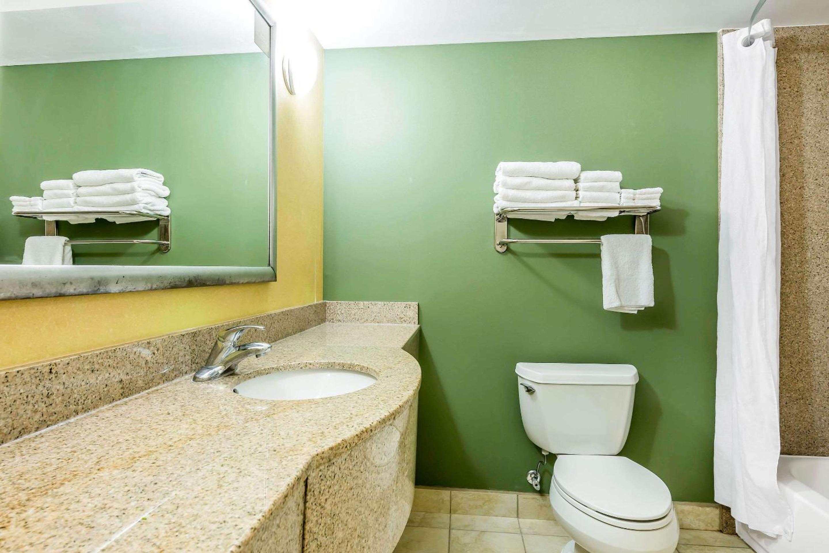 King Suite - Non-Smoking - Photo 11