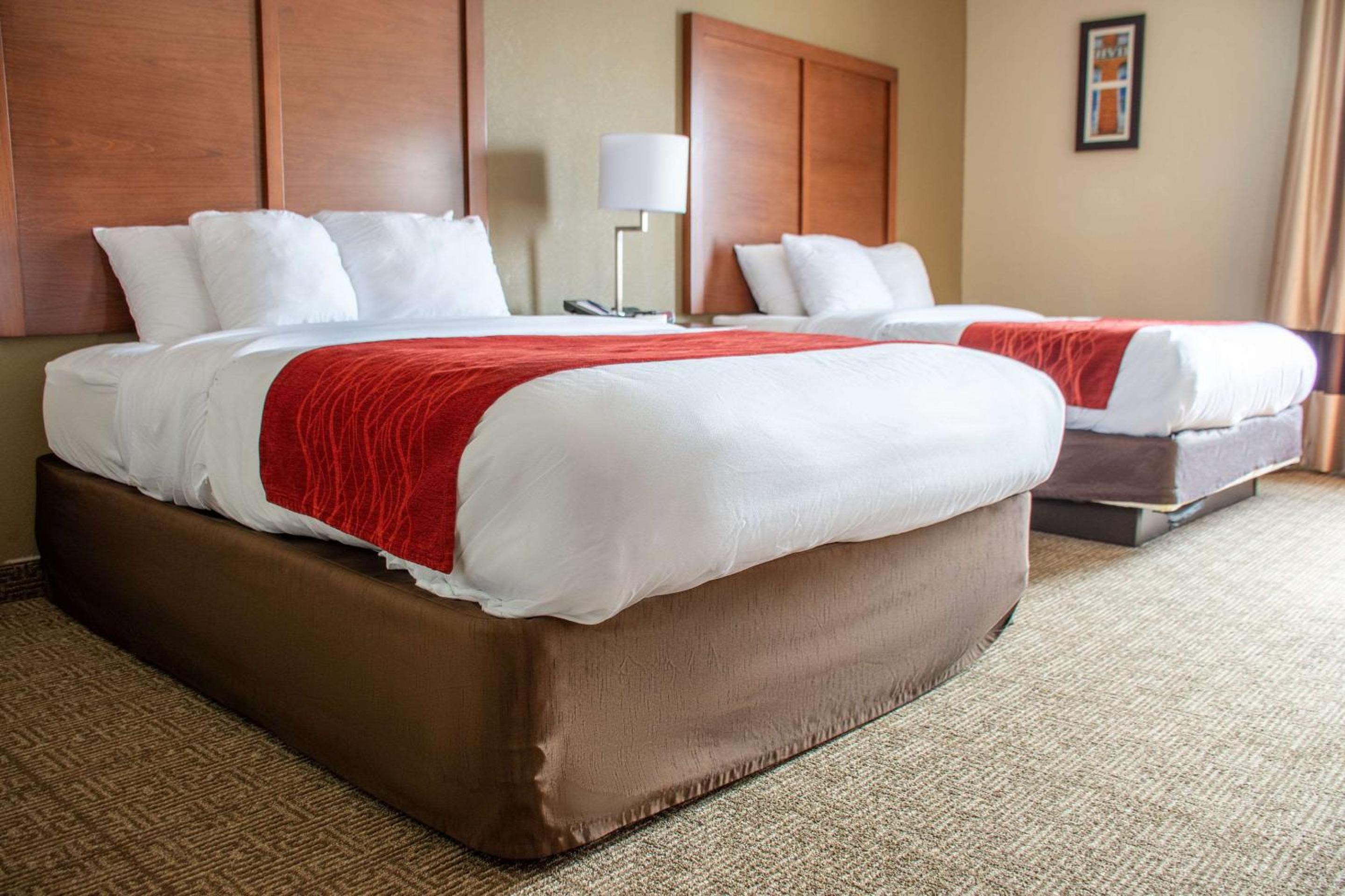 Queen Room with Two Queen Beds - Non-Smoking - Photo 1