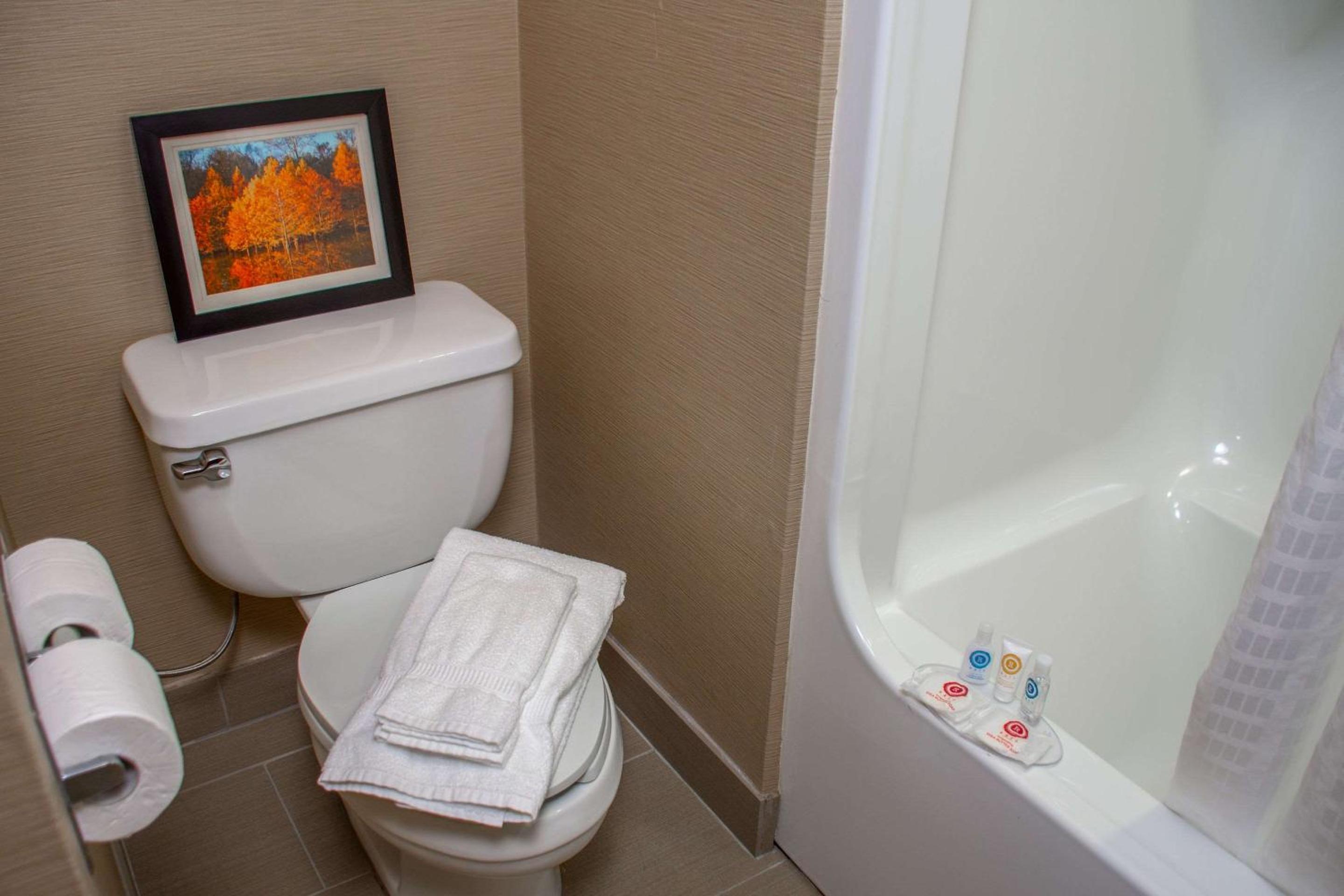 King Room - Non-Smoking - Photo 4