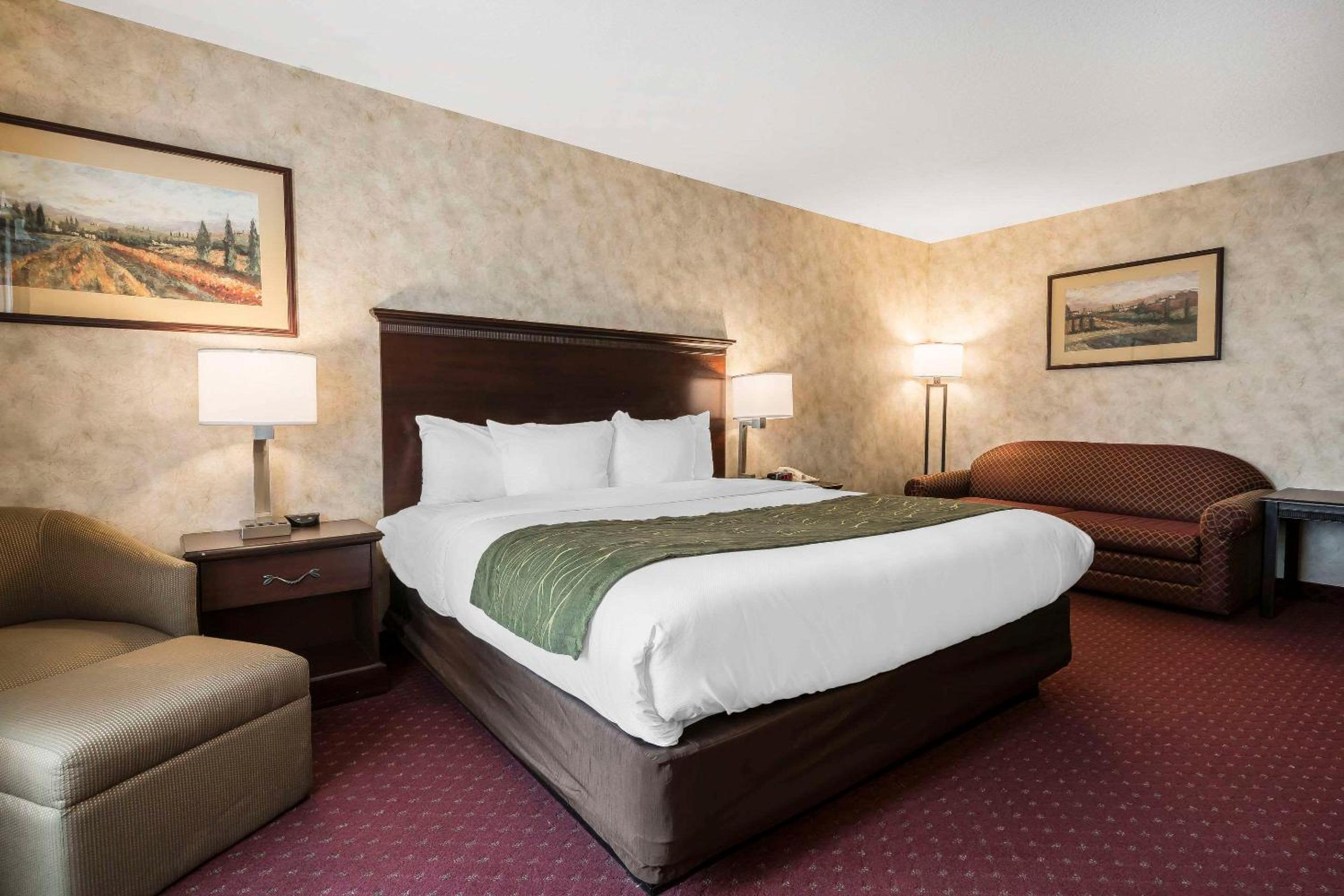 King Suite - Accessible/Non-Smoking - Photo 4